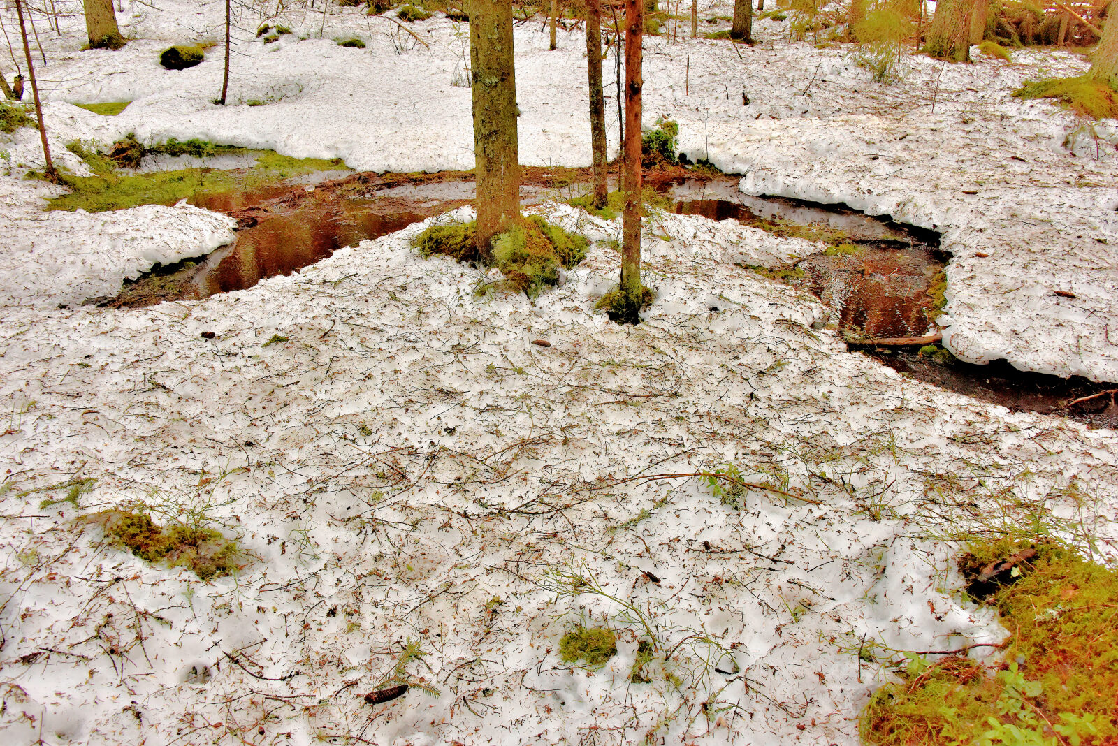 Valokuvaaja: Reijo Juurinen