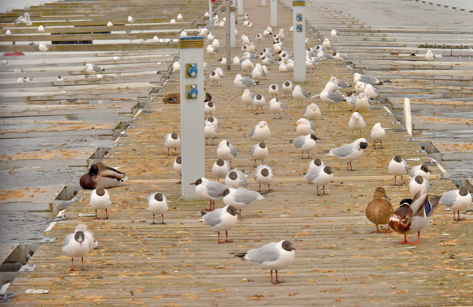 Valokuvaaja: Reijo Juurinen