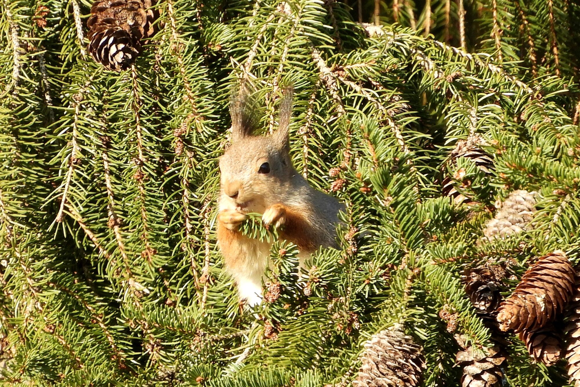 Valokuvaaja: Sirkka Perttu