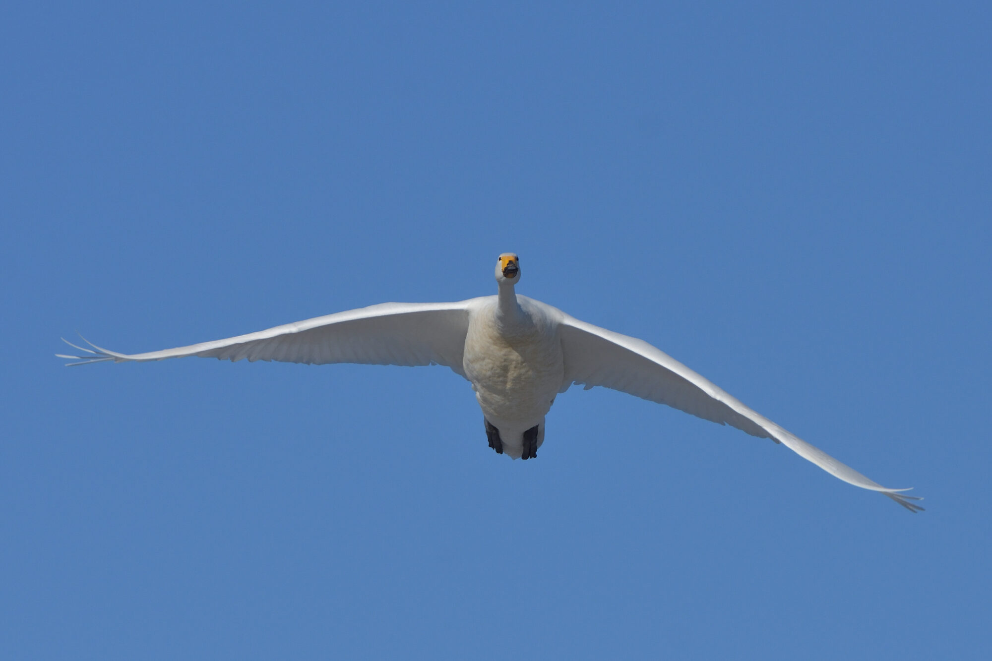 Valokuvaaja: Asko Heikkinen