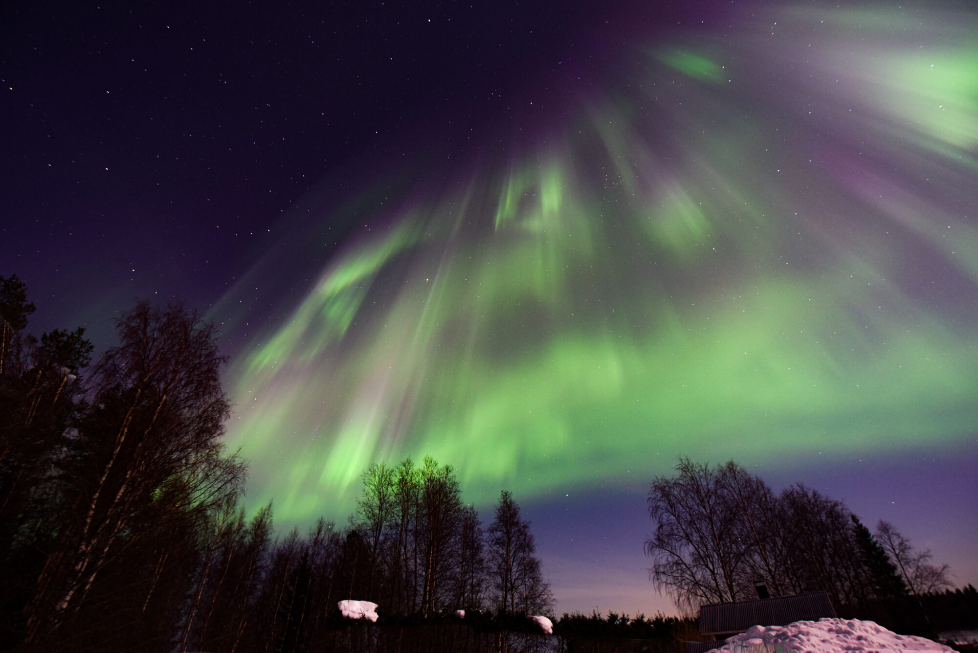 Valokuvaaja: Maija Savolainen