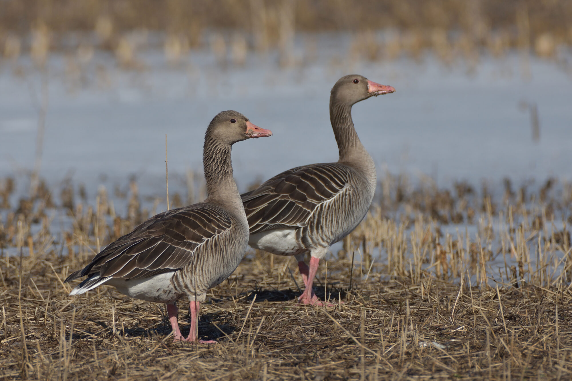 Valokuvaaja: Asko Heikkinen