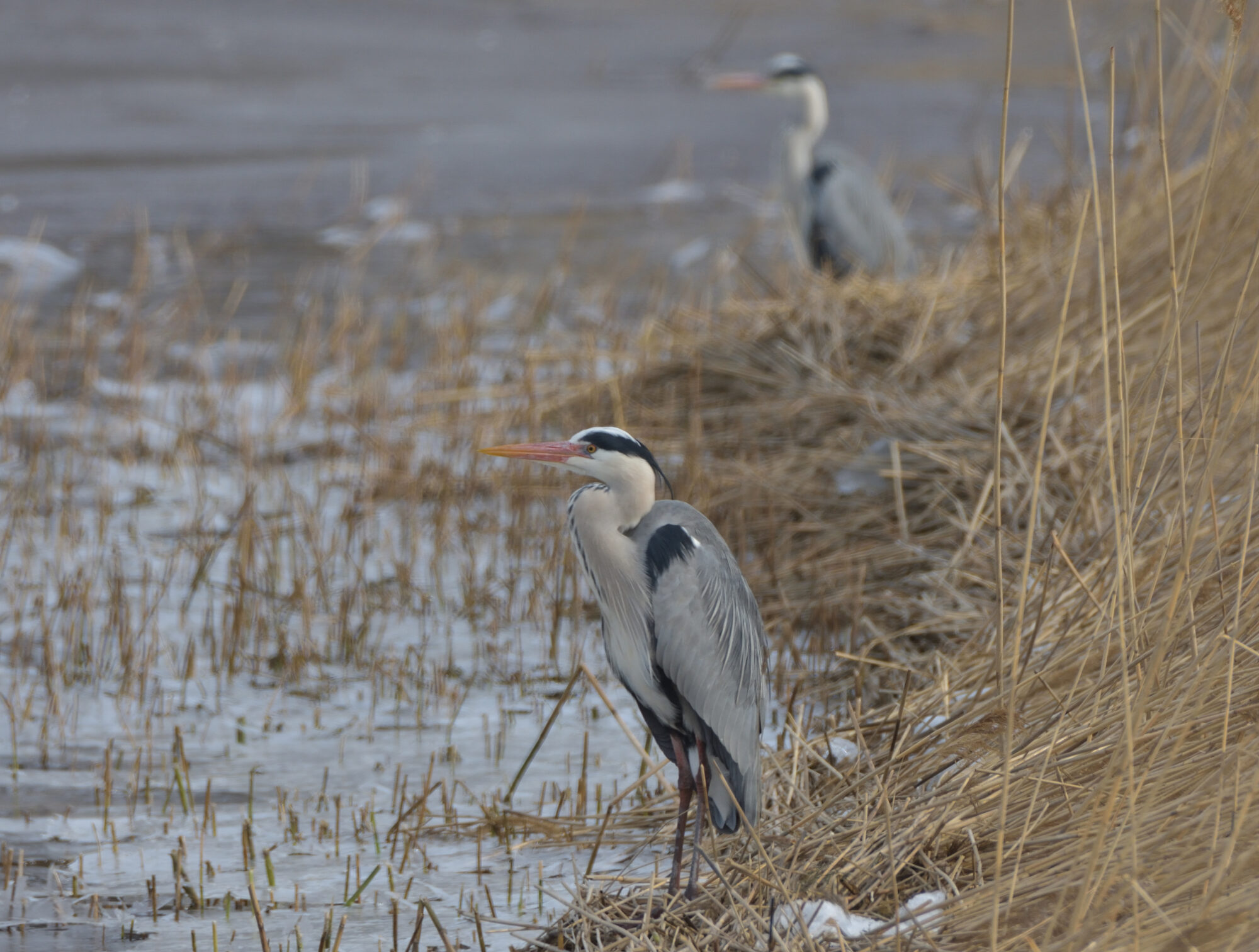 Valokuvaaja: Asko Heikkinen