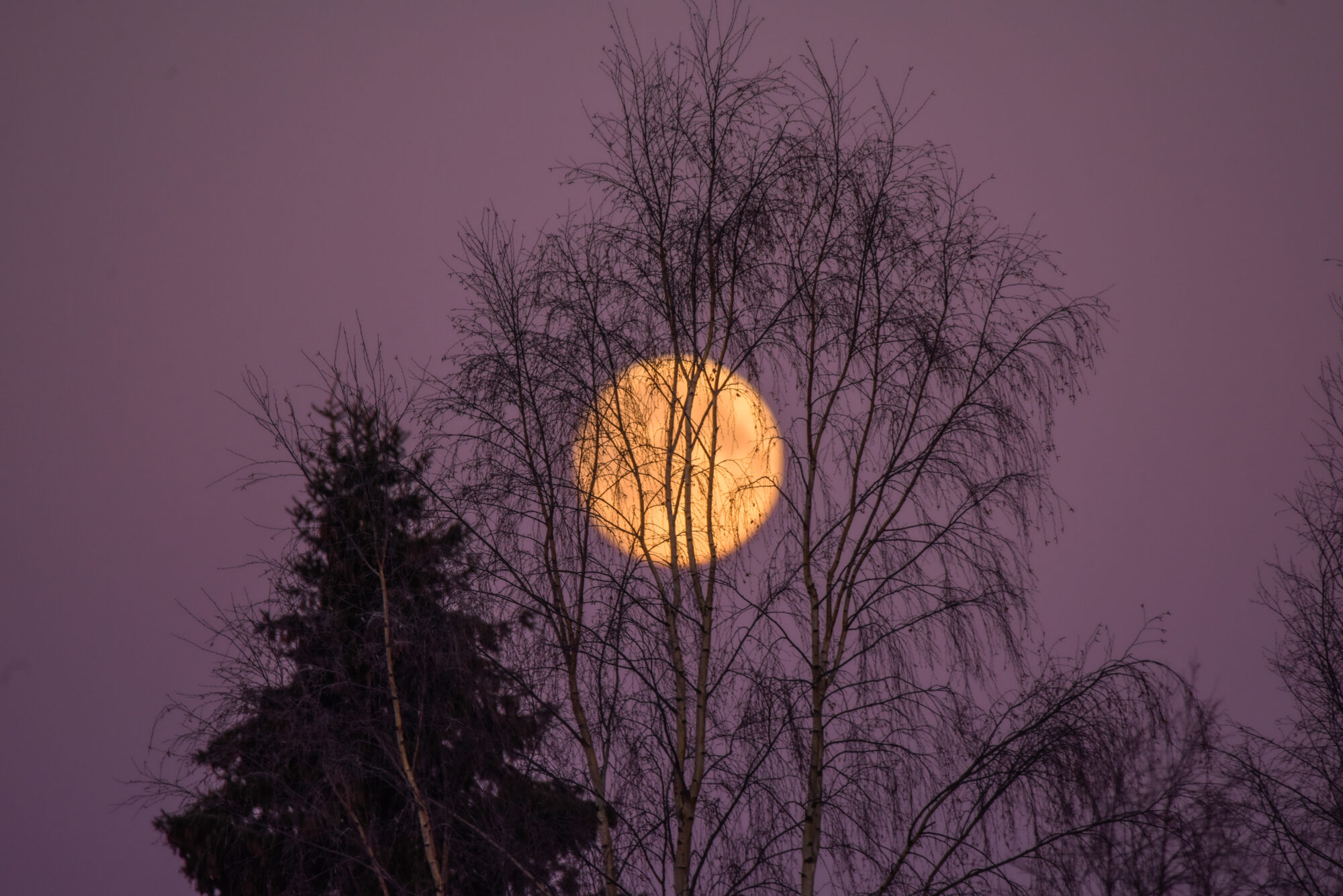 Valokuvaaja: Maija Savolainen