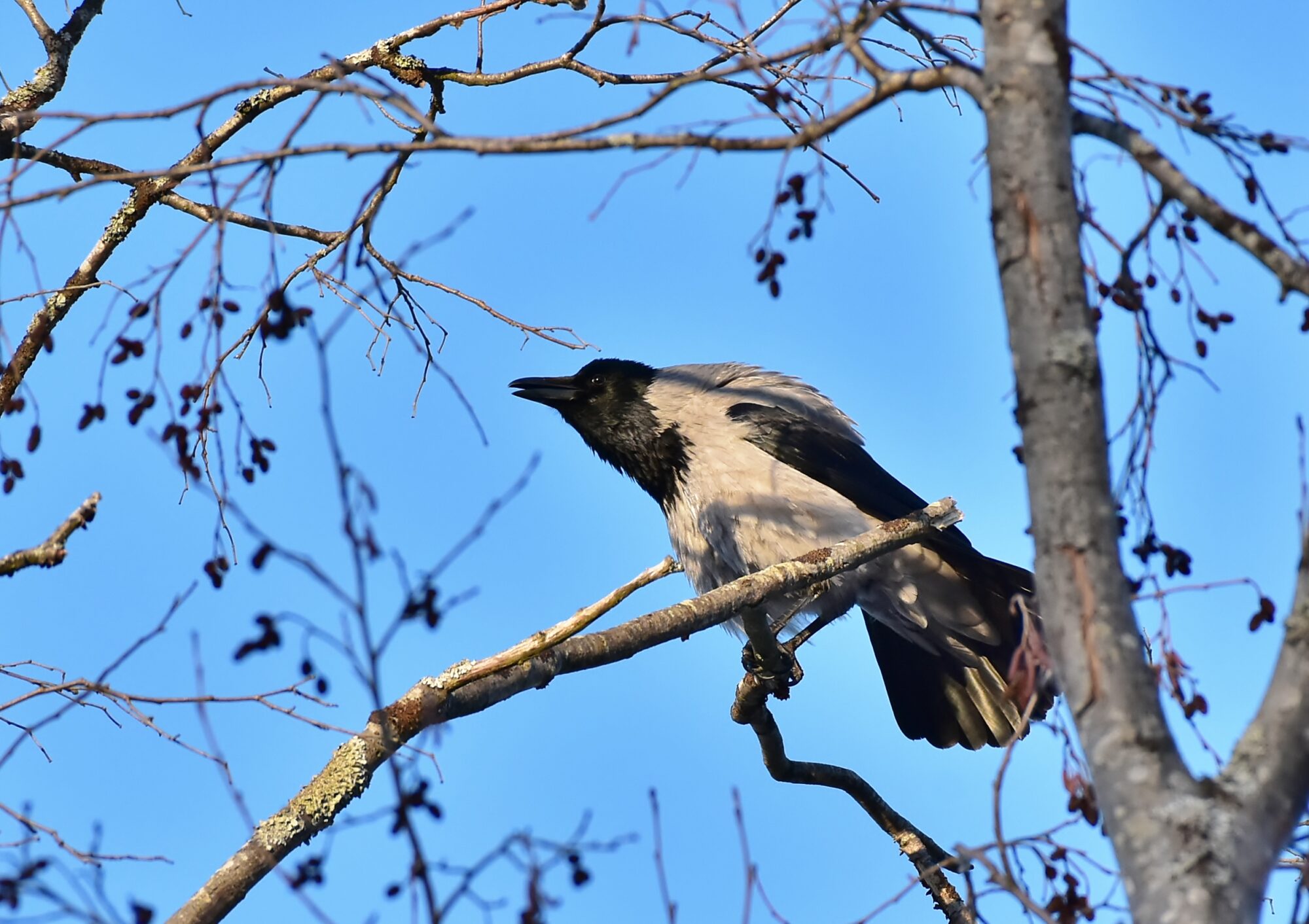 Valokuvaaja: Markku Pelkonen