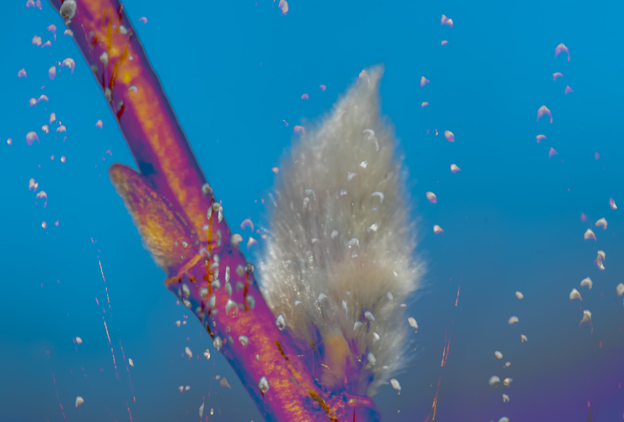 Valokuvaaja: Leena Rissanen