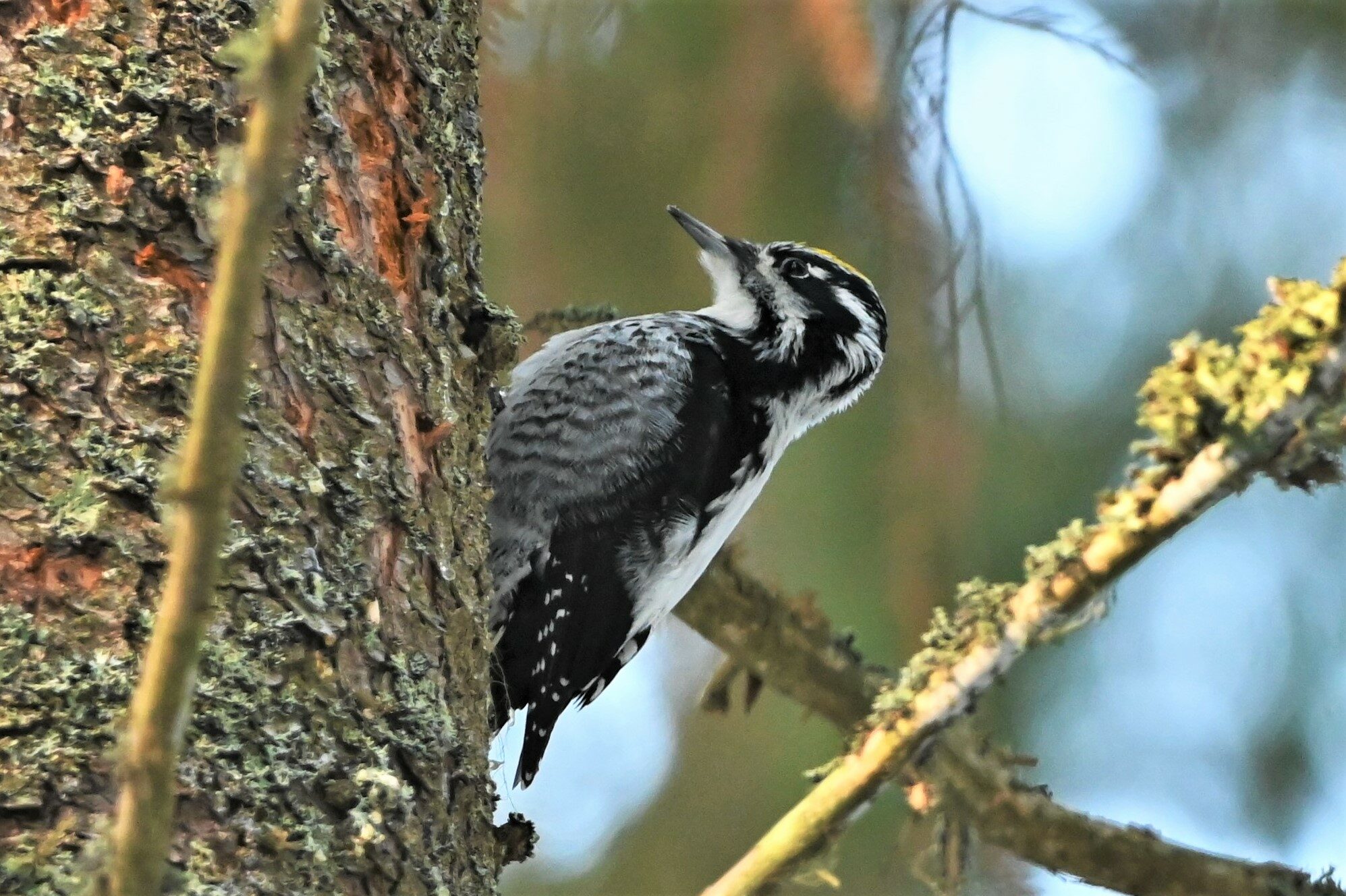 Valokuvaaja: Jari Tuominen