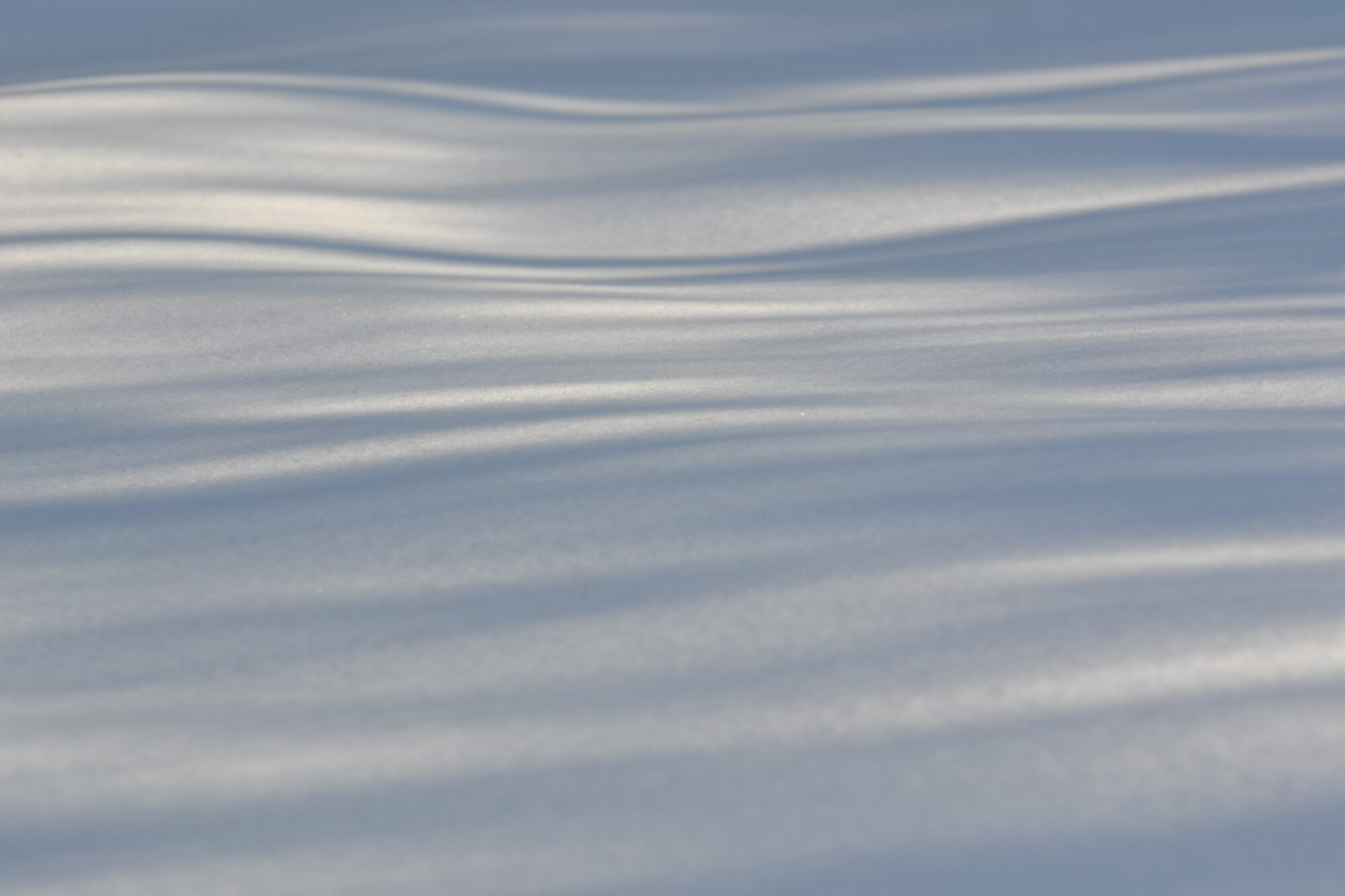 Valokuvaaja: Kati Kilpeläinen Valokuvaaja: Kati Kilpeläinen