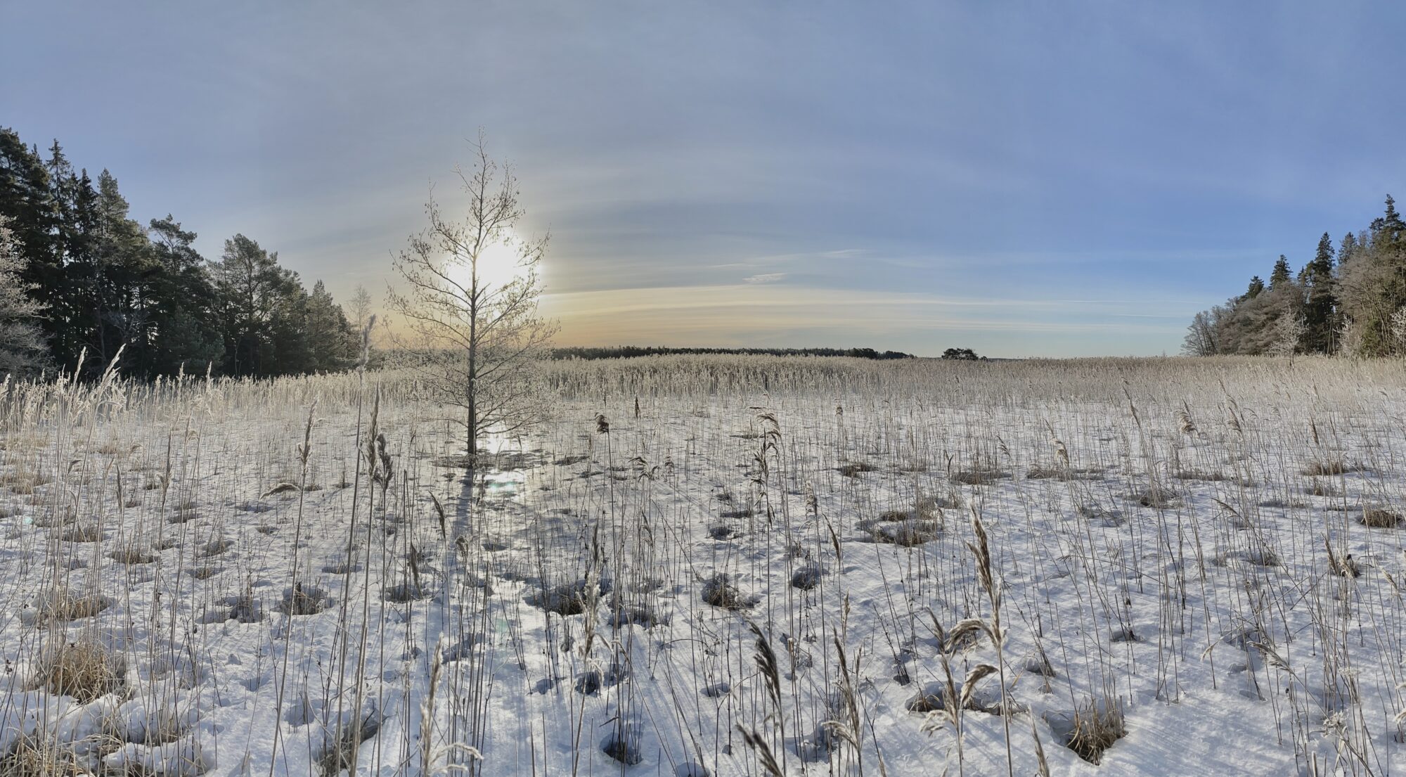 Valokuvaaja: Juhani Peltonen Valokuvaaja: Juhani Peltonen