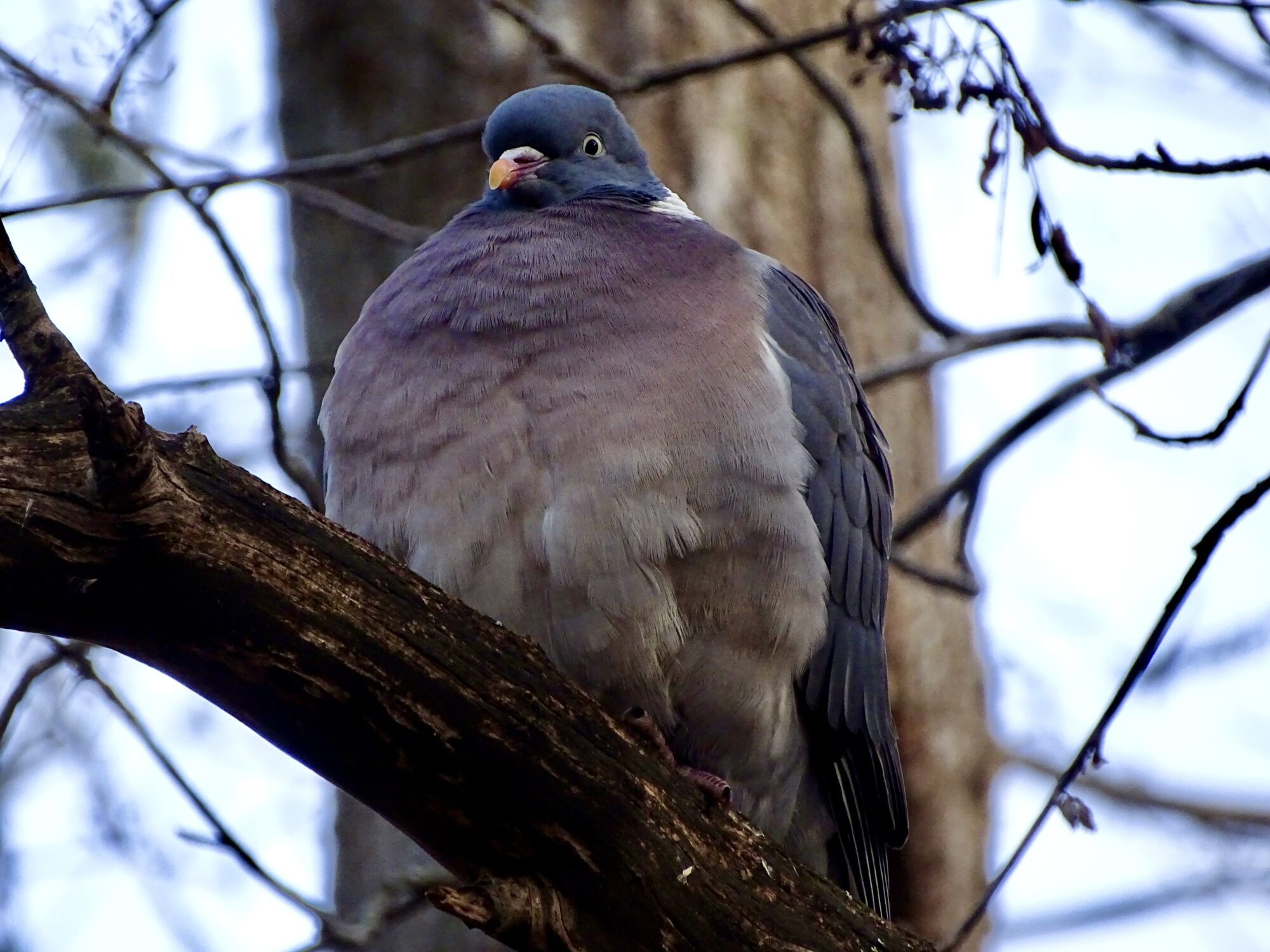 Valokuvaaja: Juhani Peltonen
