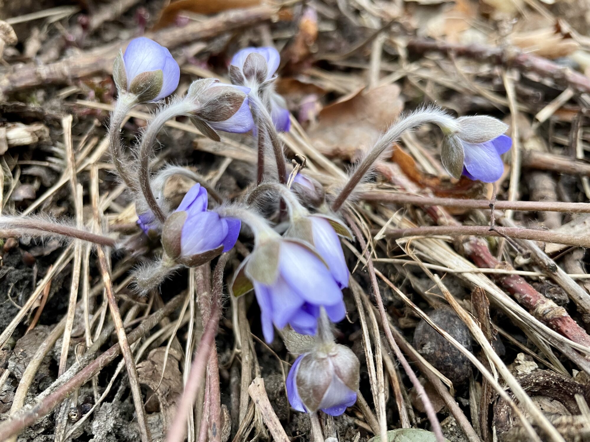 Valokuvaaja: juhani Peltonen