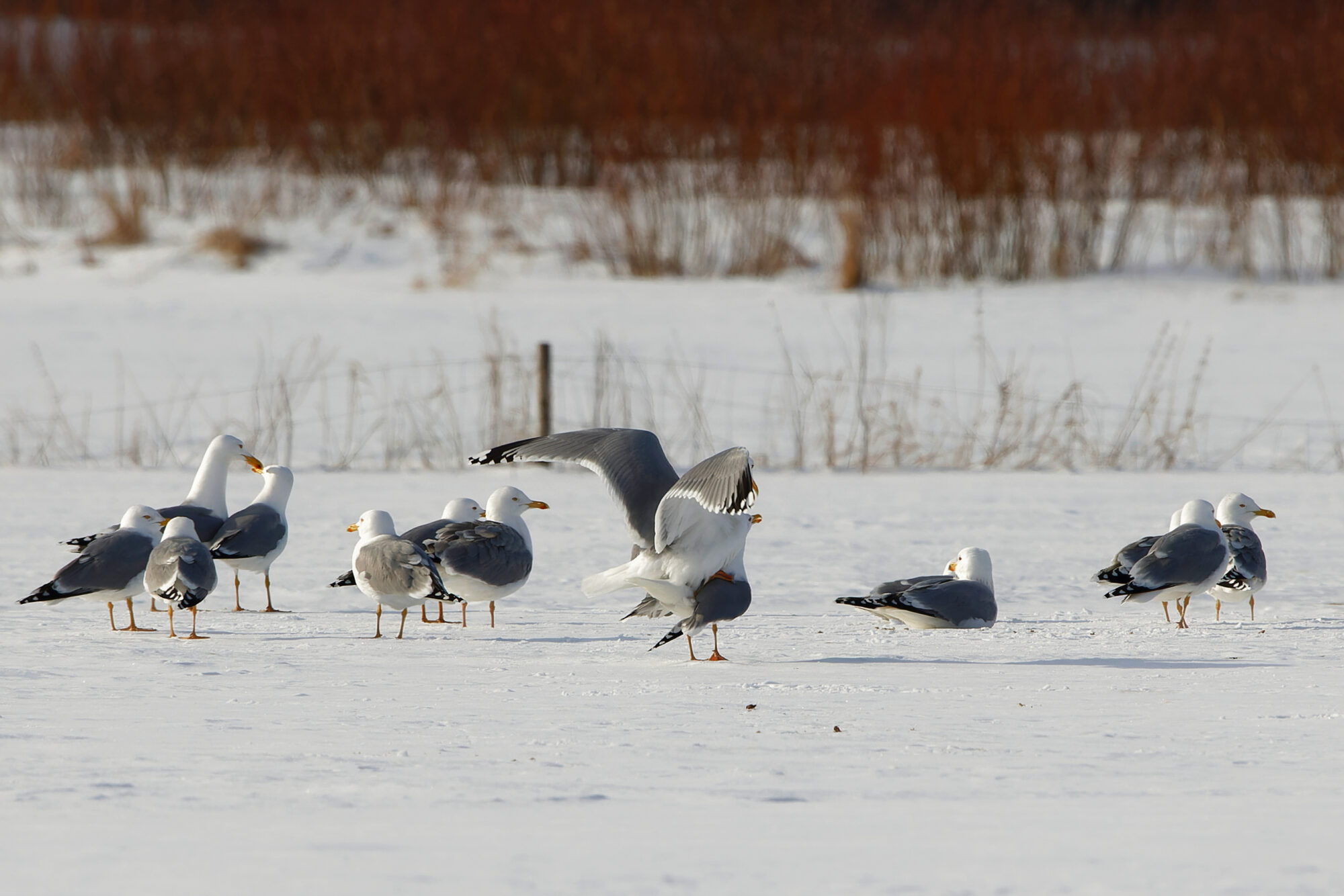 Valokuvaaja: Tommi Kujala