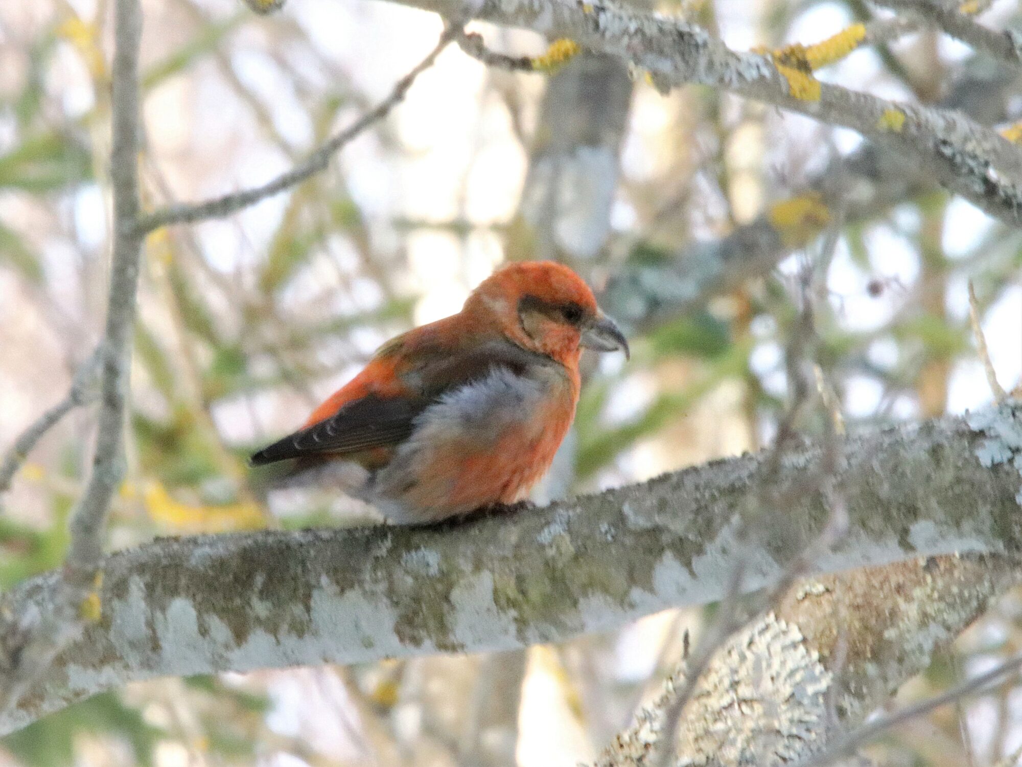Valokuvaaja: Irja Lehtinen