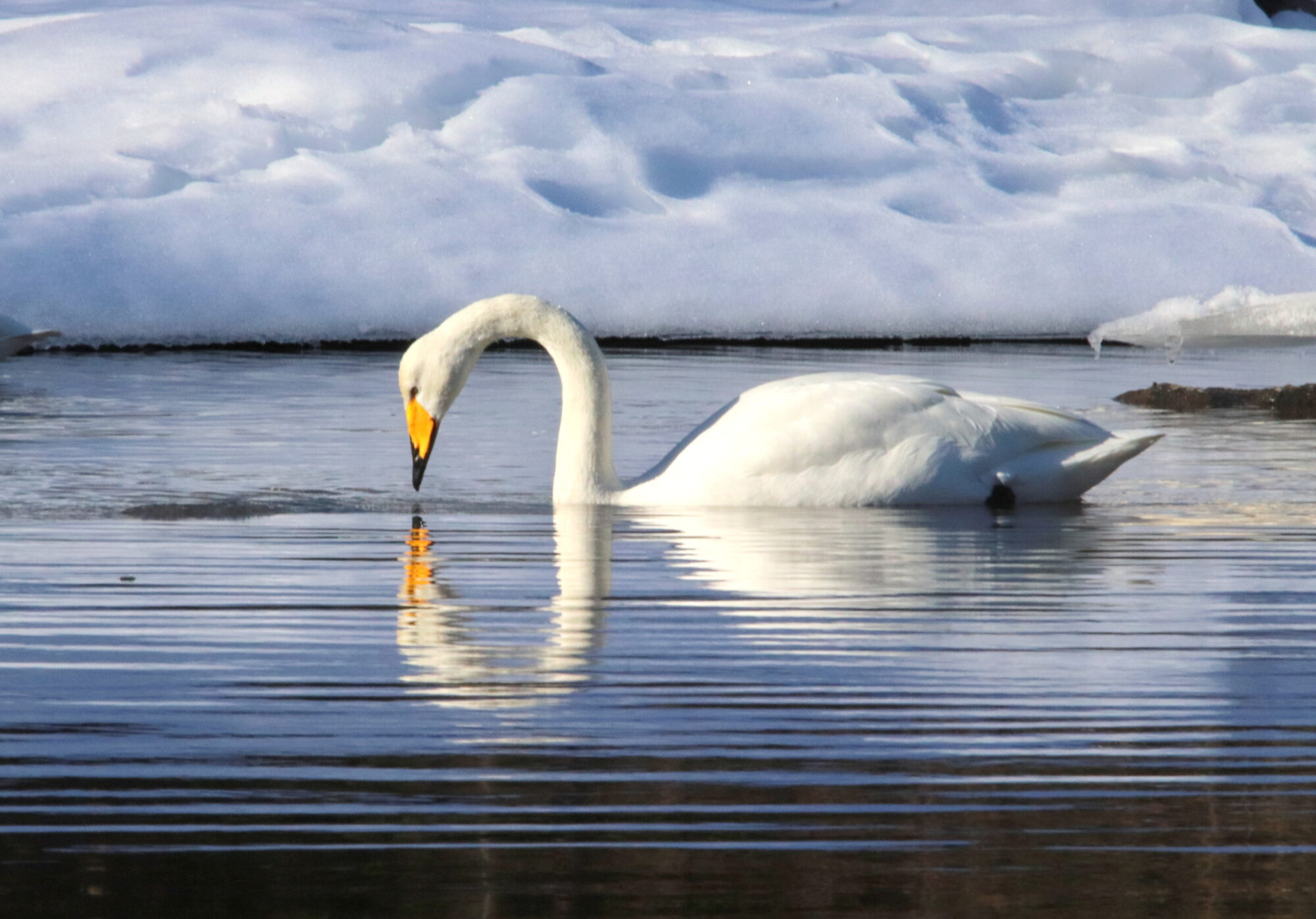 Valokuvaaja: Irja Lehtinen