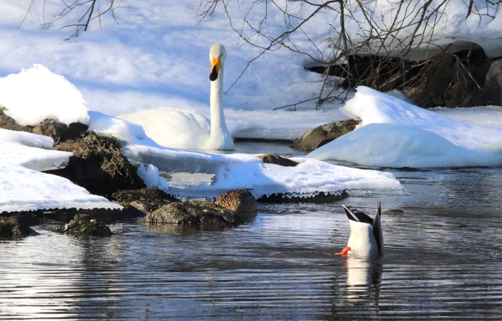 Valokuvaaja: Irja Lehtinen