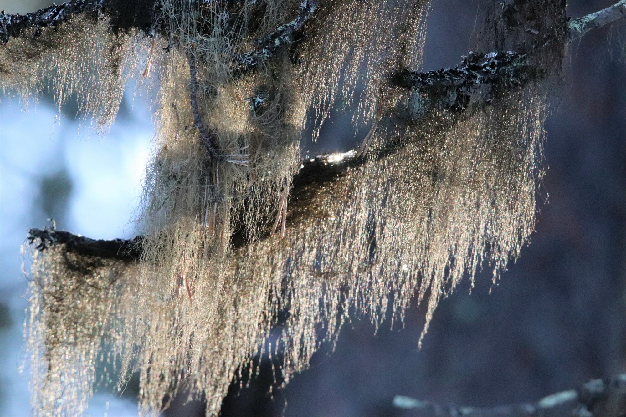 Valokuvaaja: Irja Lehtinen Valokuvaaja: Irja Lehtinen