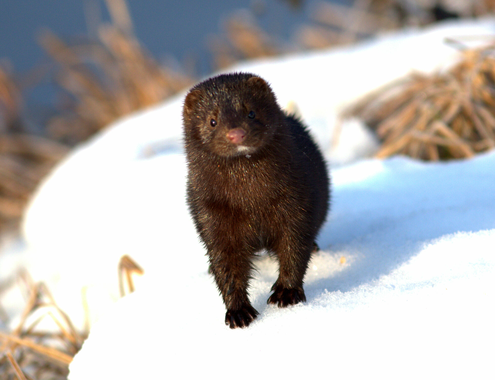 Valokuvaaja: Tapio Keinonen