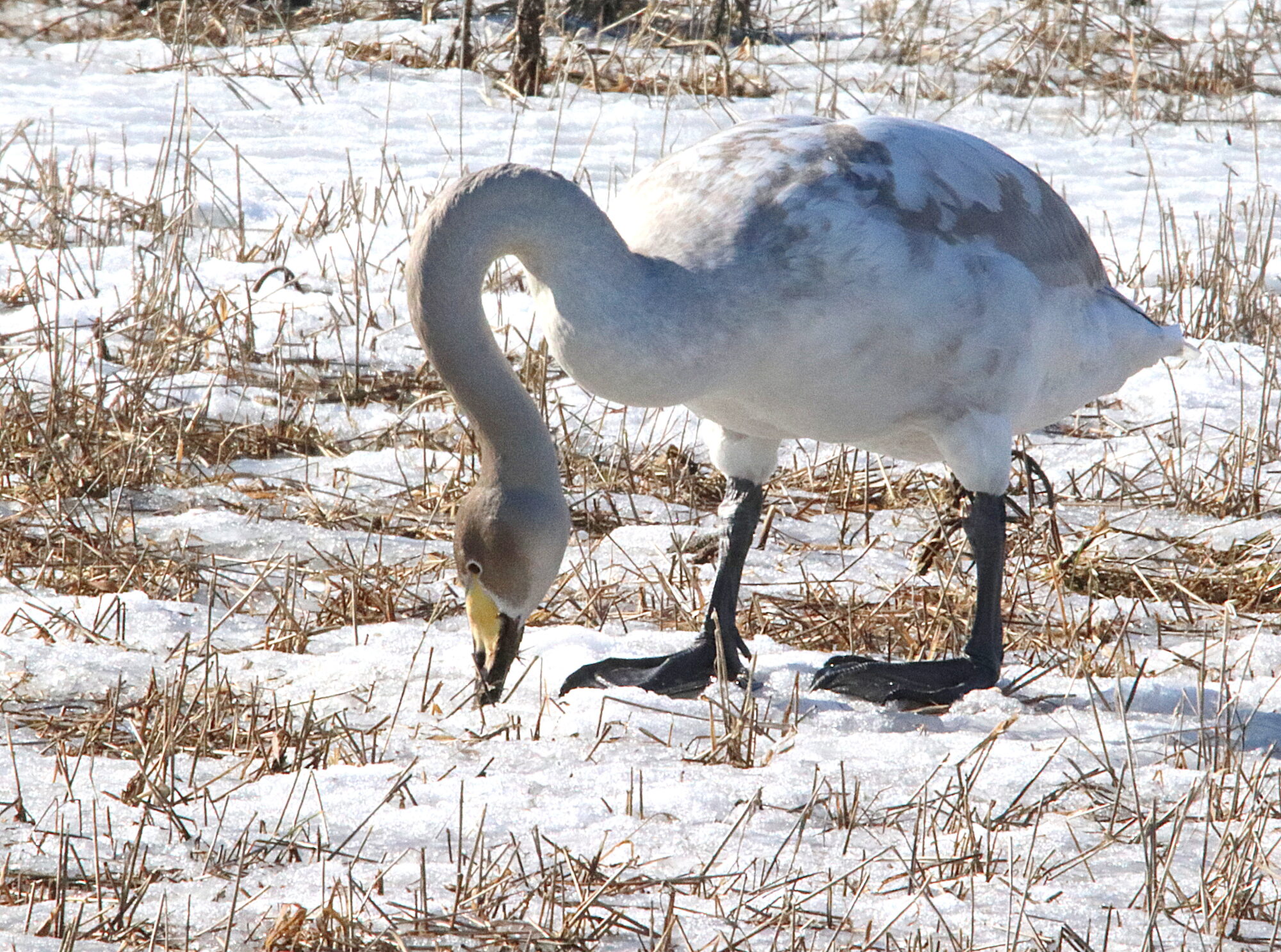 Valokuvaaja: Irja Lehtinen