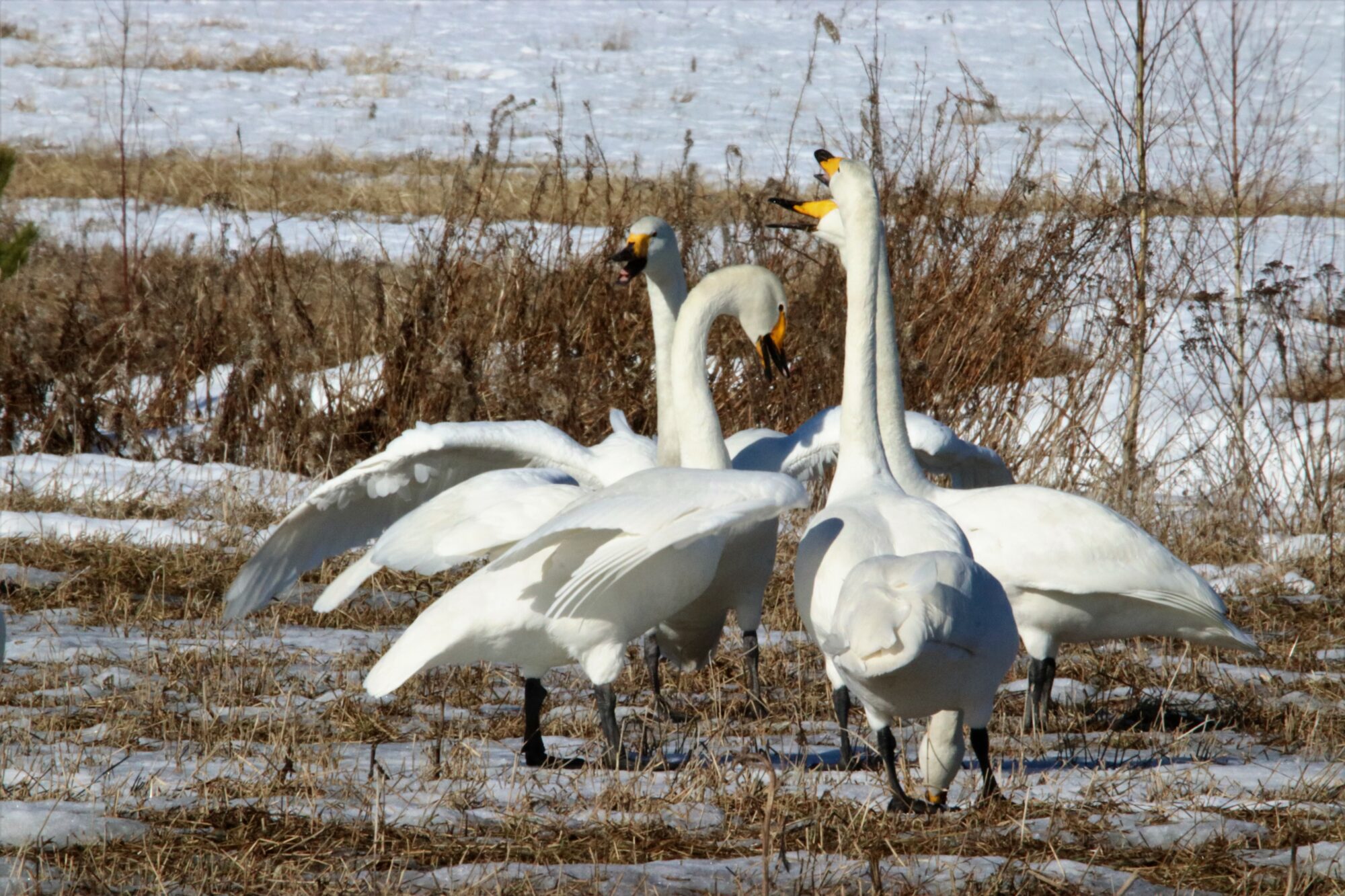 Valokuvaaja: Irja Lehtinen