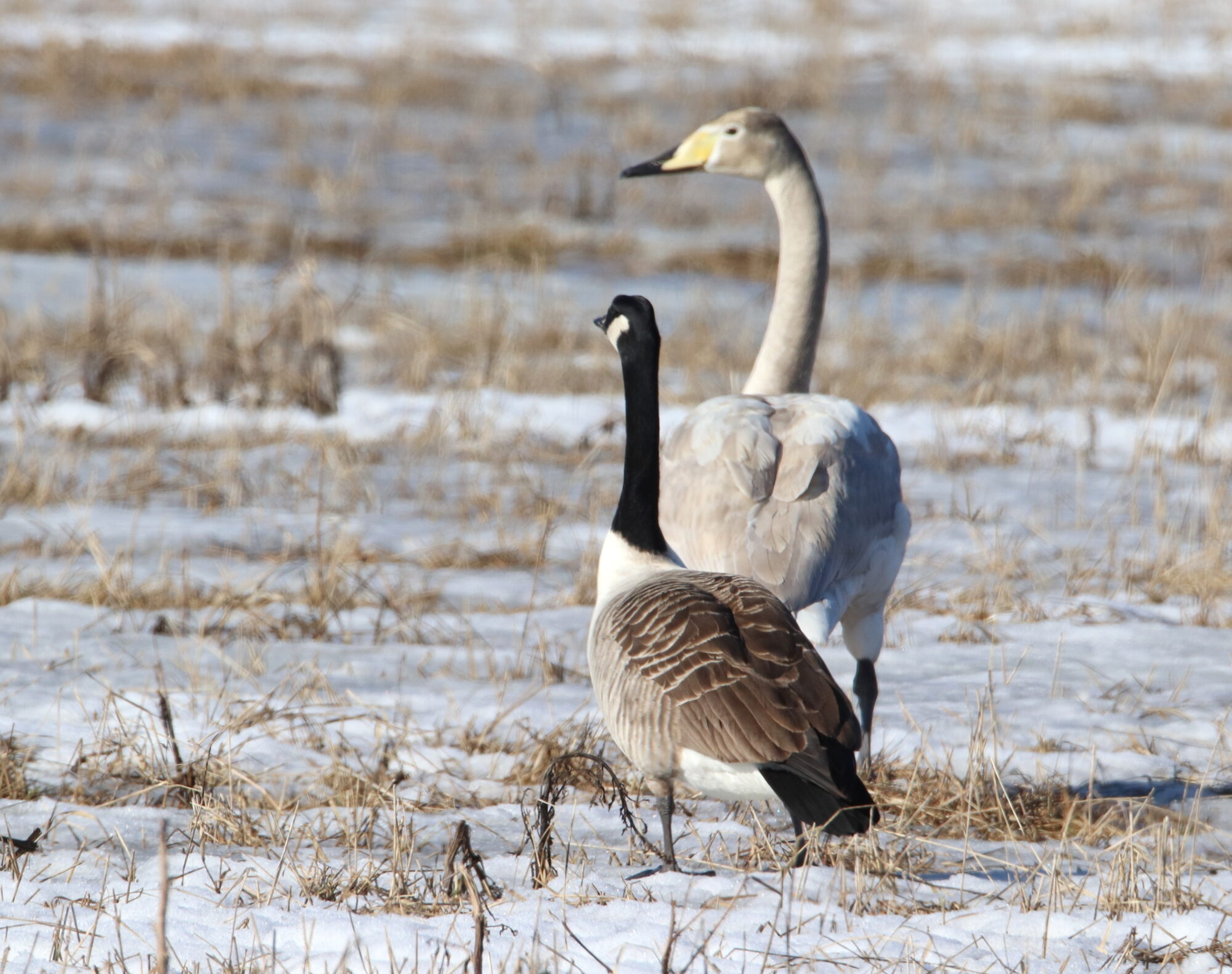 Valokuvaaja: Irja Lehtinen