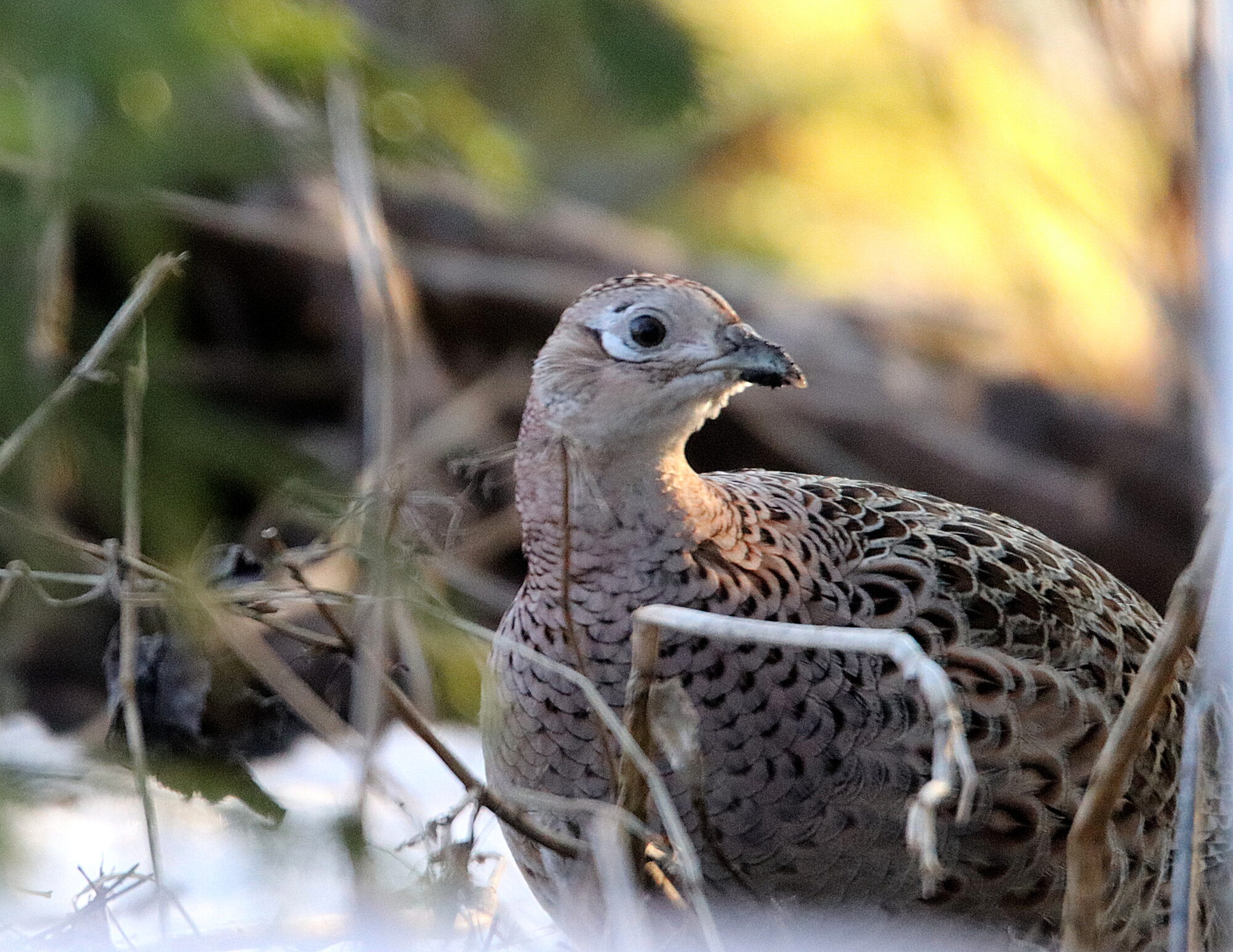 Valokuvaaja: Irja Lehtinen
