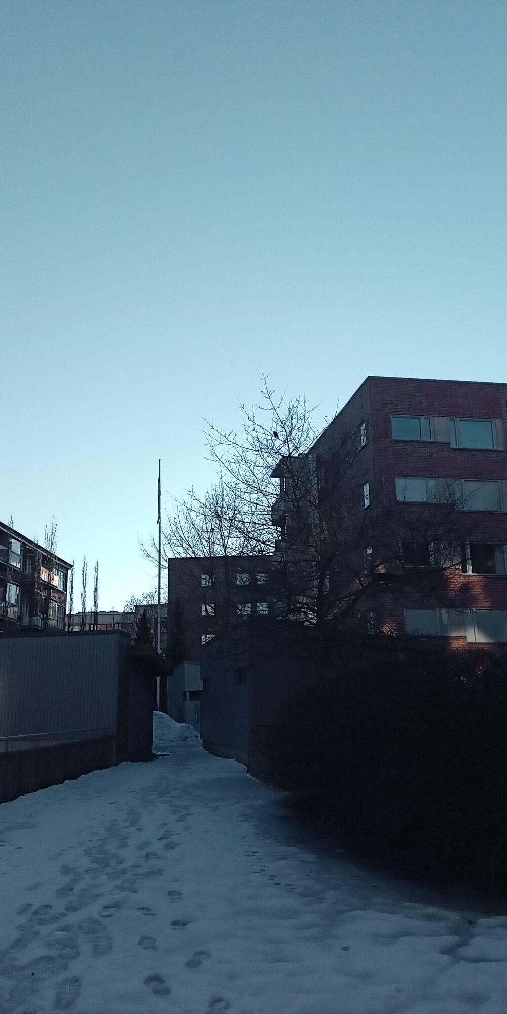 Valokuvaaja: Alvar Ilmonen Valokuvaaja: Alvar Ilmonen