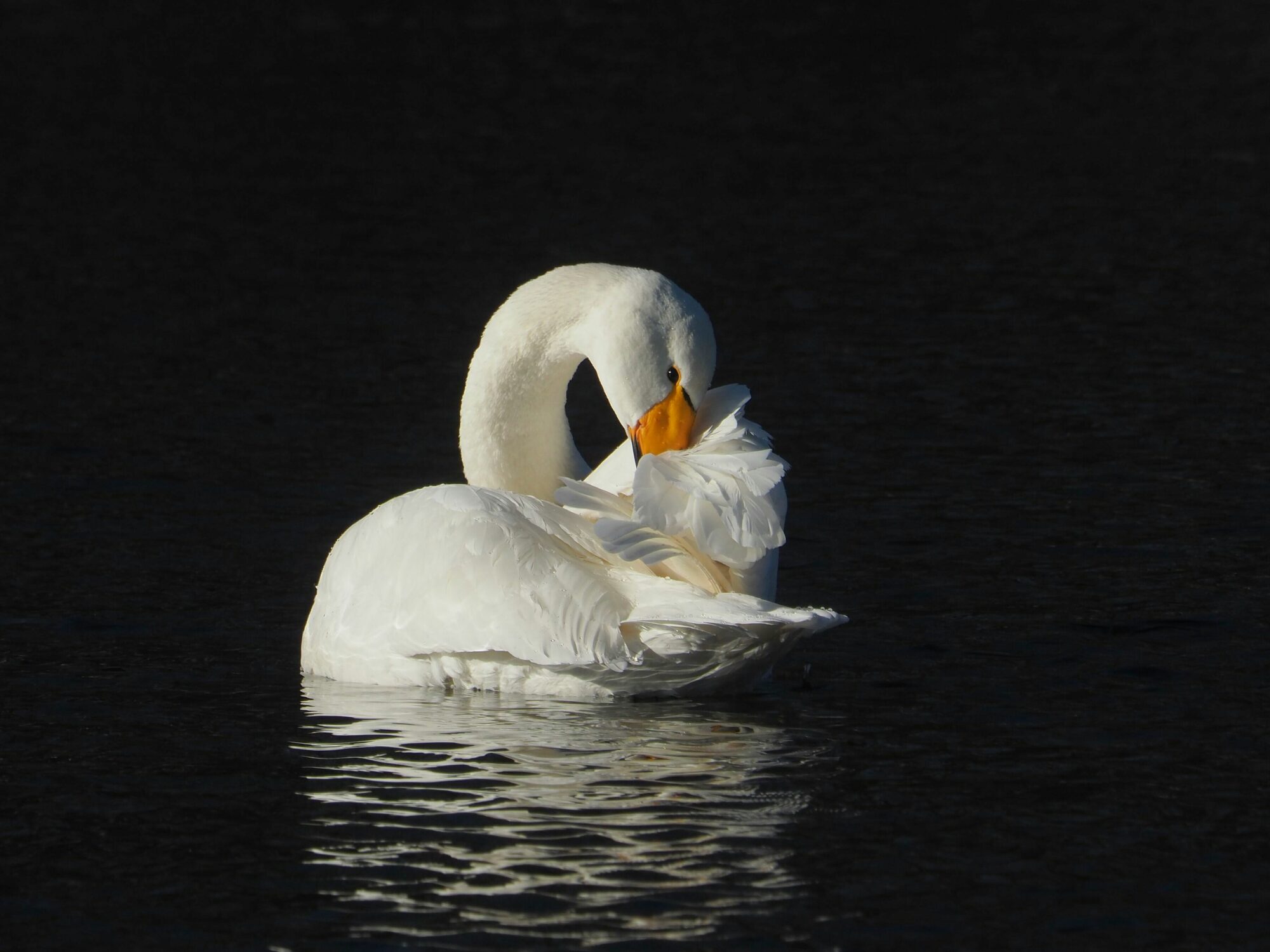 Valokuvaaja: Mikkola Irma
