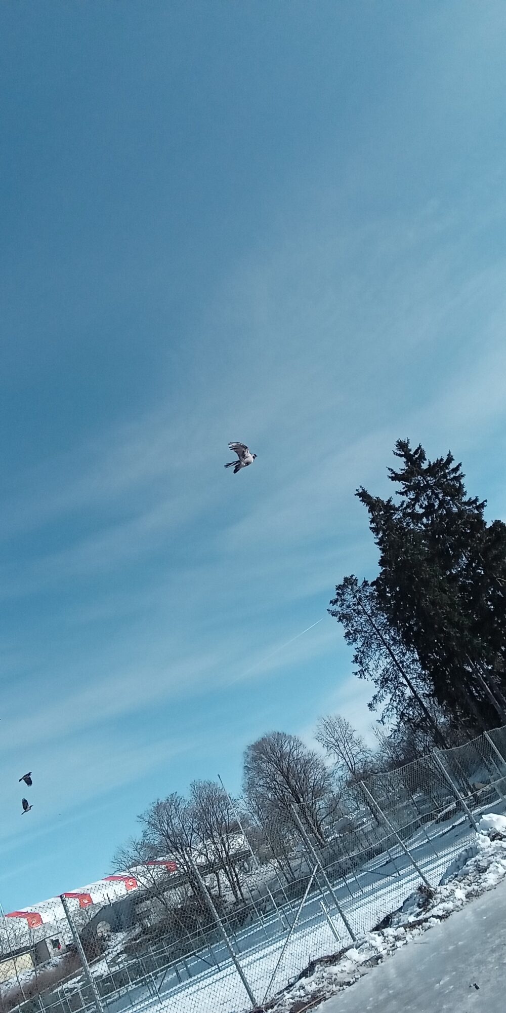 Valokuvaaja: Alvar Ilmonen