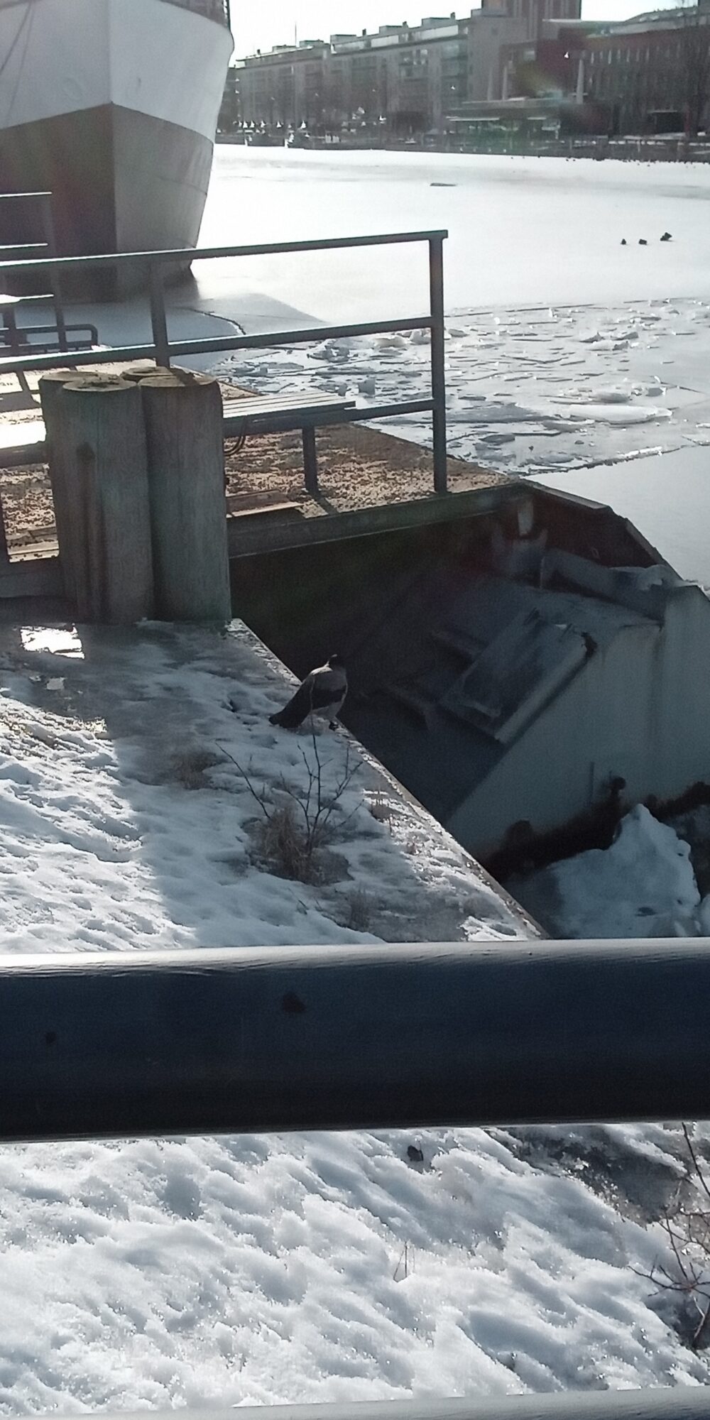 Valokuvaaja: Alvar Ilmonen Valokuvaaja: Alvar Ilmonen