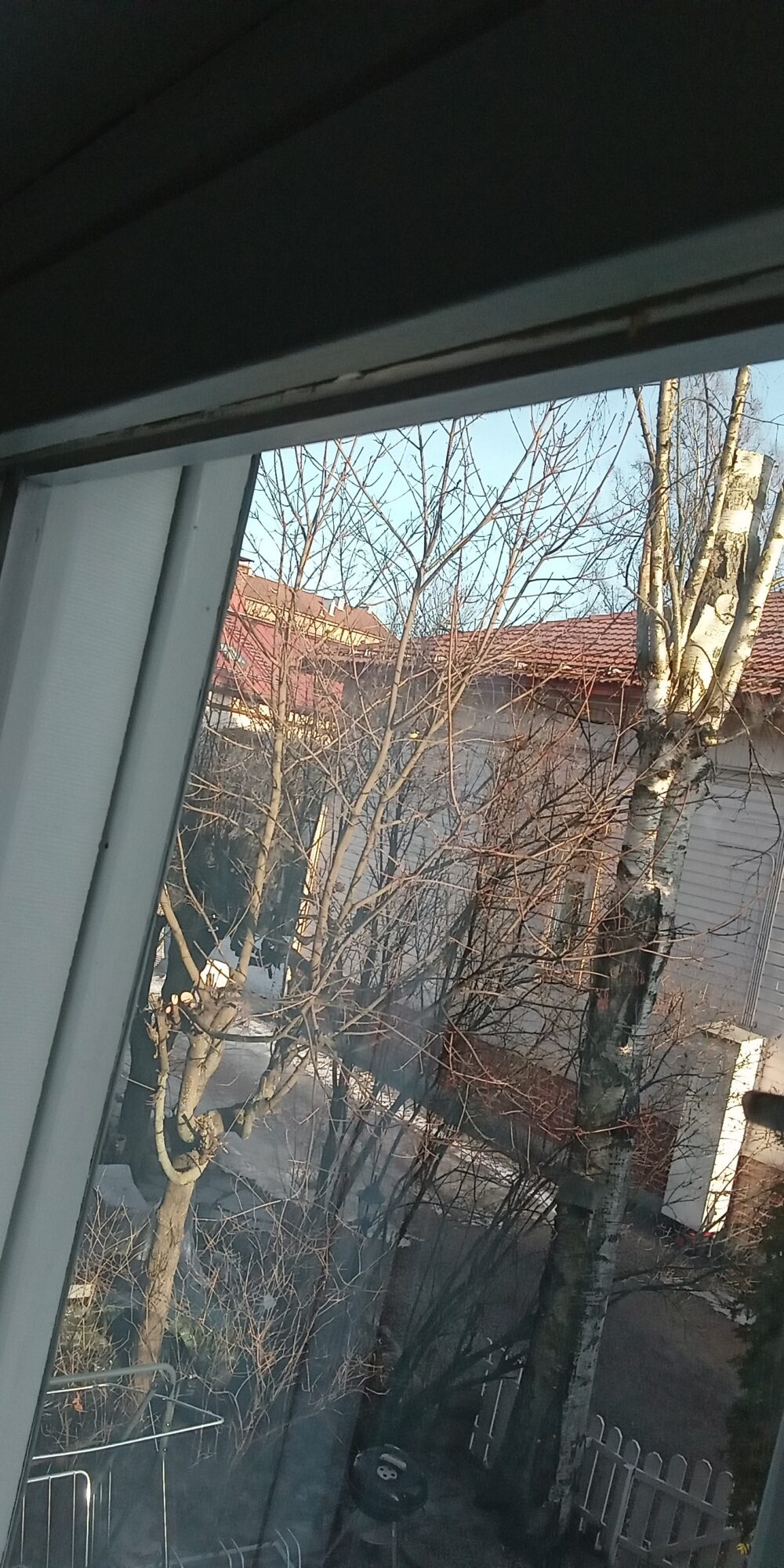 Valokuvaaja: Alvar Ilmonen