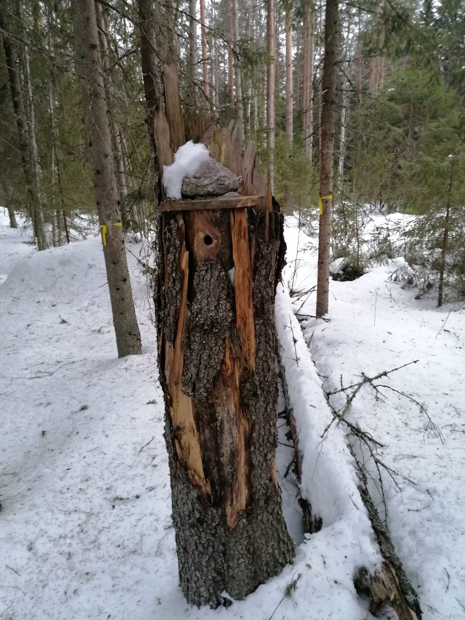 Valokuvaaja: Kaija Halonen