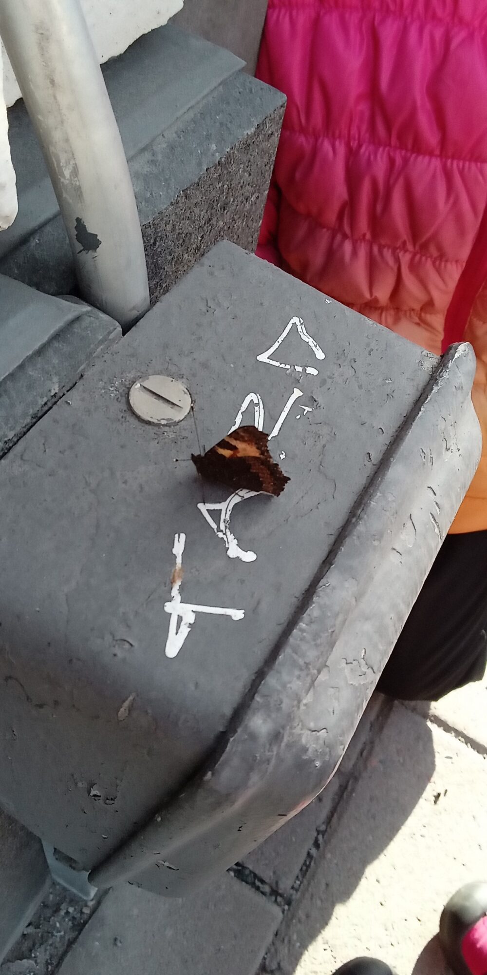 Valokuvaaja: Alvar Ilmonen