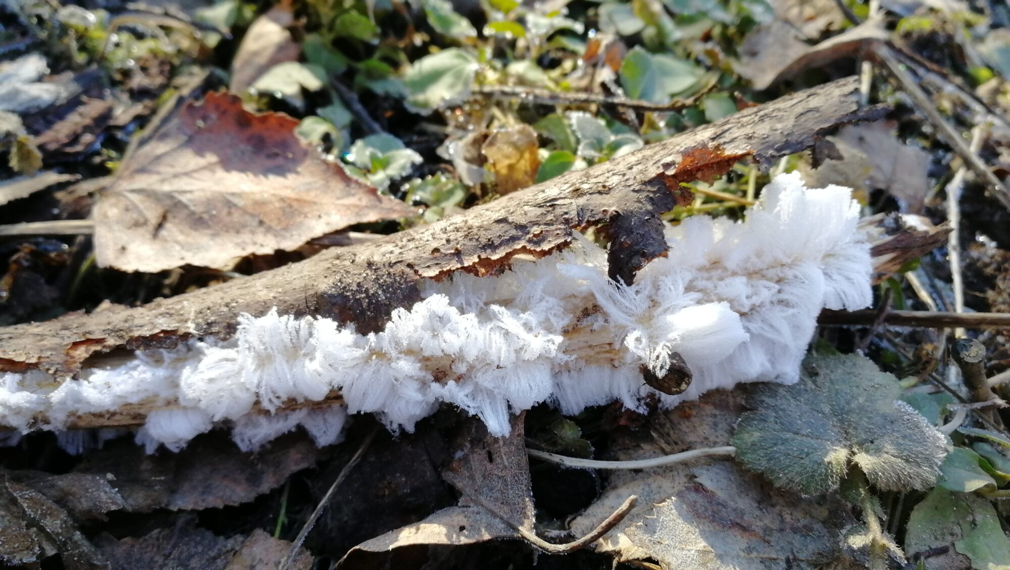 Valokuvaaja: Ulpu Korpi