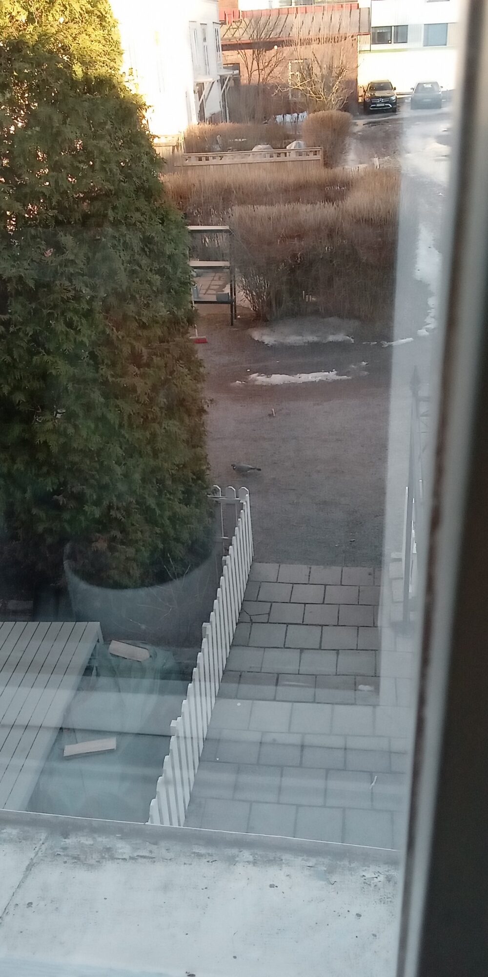 Valokuvaaja: Alvar Ilmonen Valokuvaaja: Alvar Ilmonen