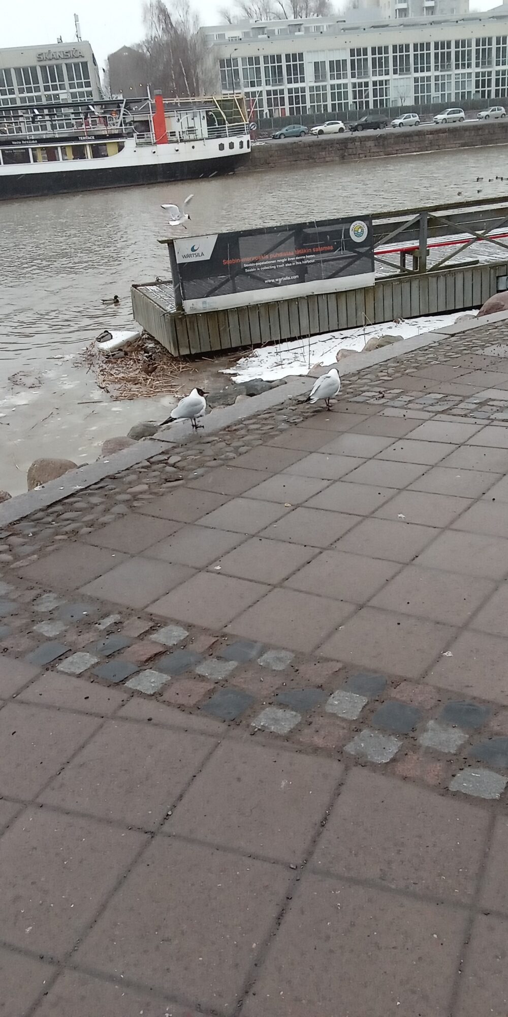 Valokuvaaja: Alvar Ilmonen