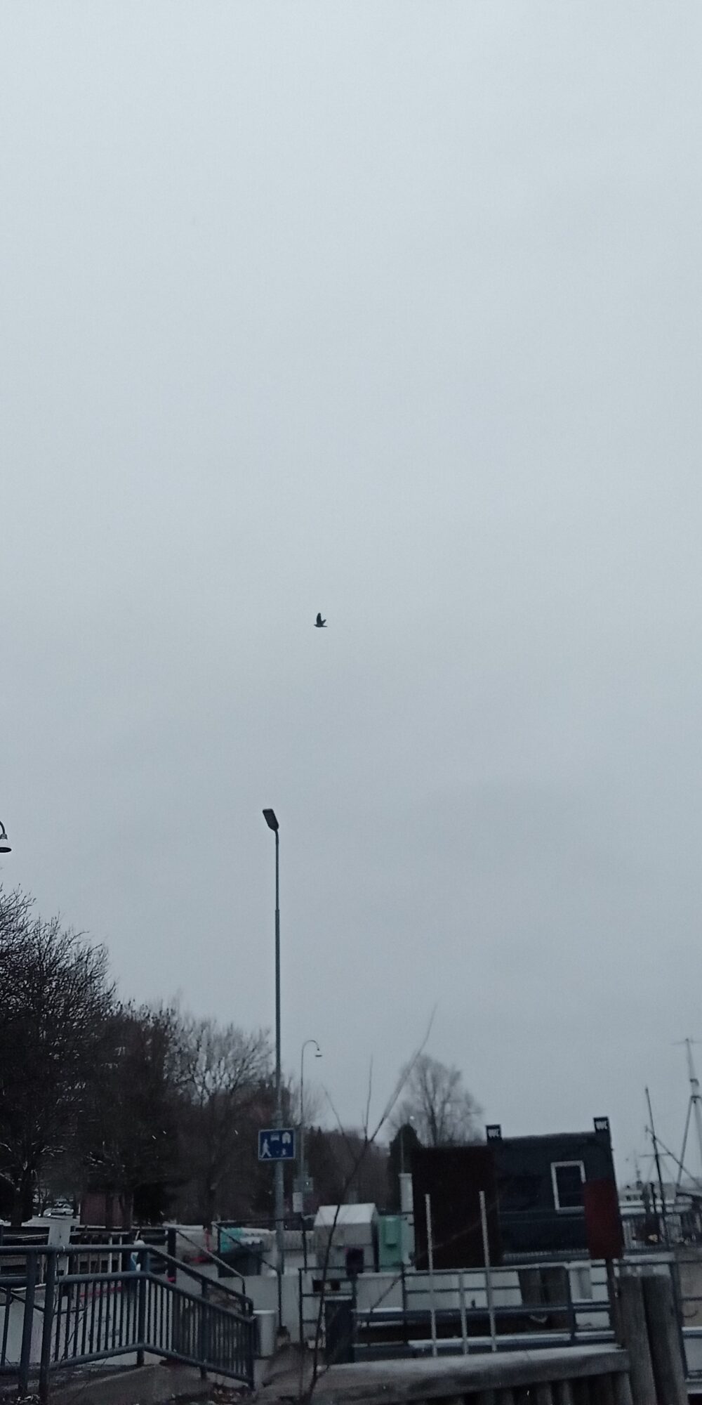 Valokuvaaja: Alvar Ilmonen