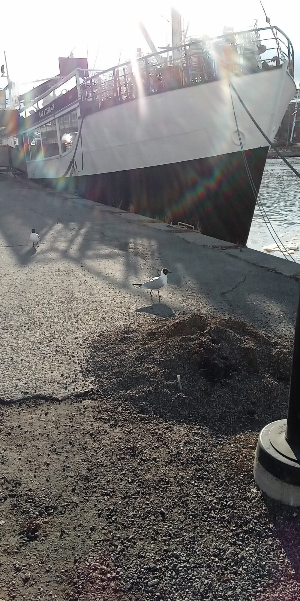 Valokuvaaja: Alvar Ilmonen