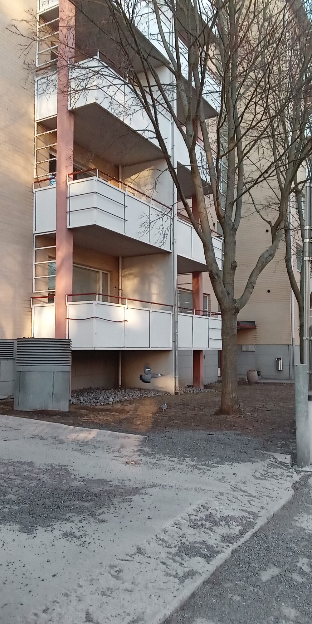Valokuvaaja: Alvar Ilmonen Valokuvaaja: Alvar Ilmonen