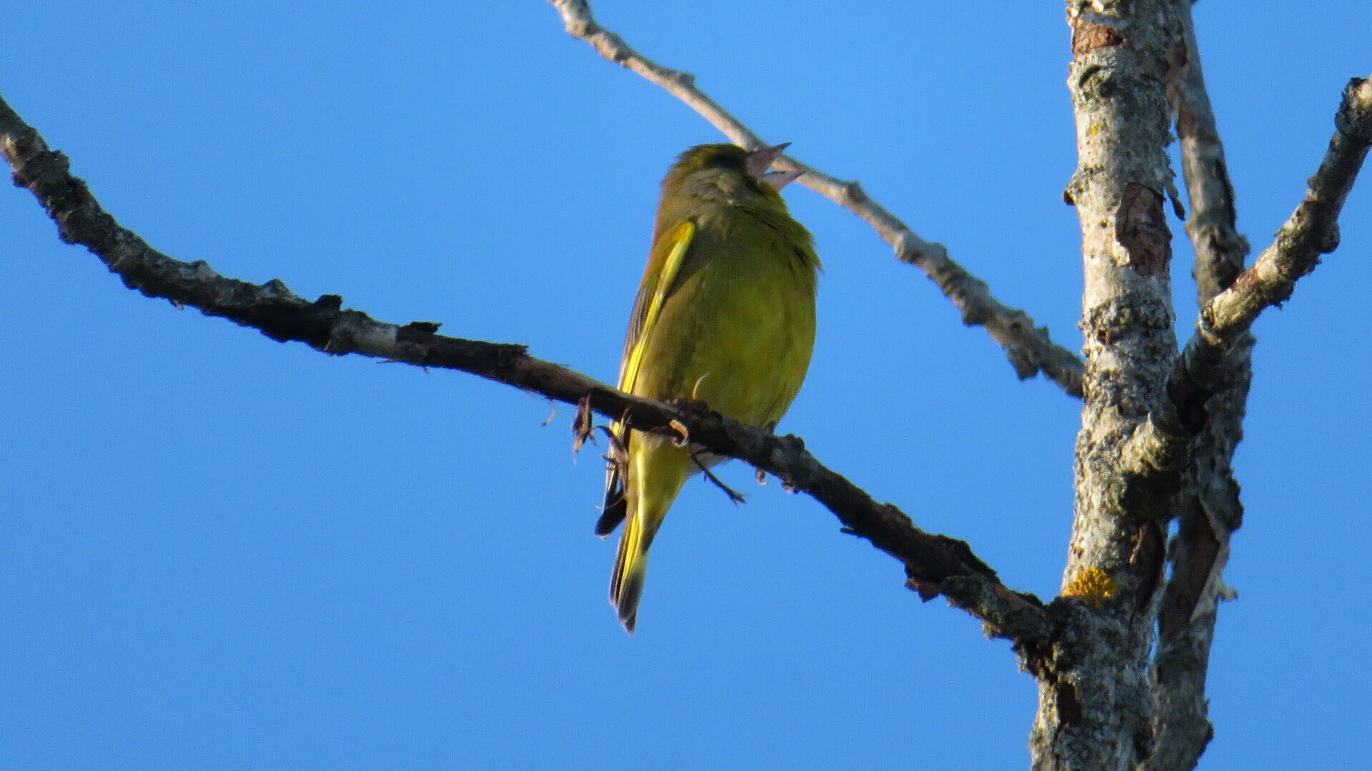 Valokuvaaja: Risto Kangassalo