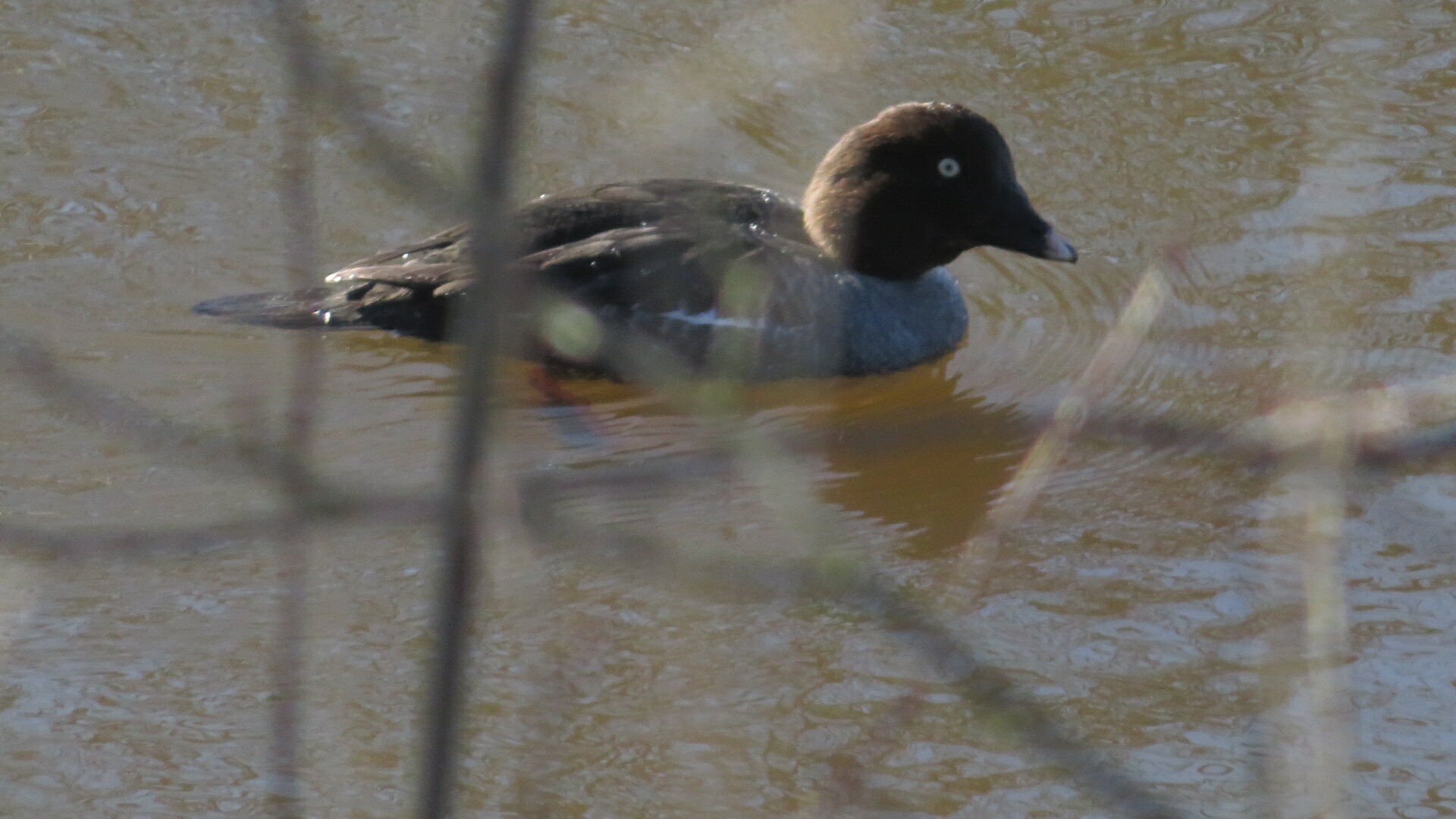 Valokuvaaja: Risto Kangassalo