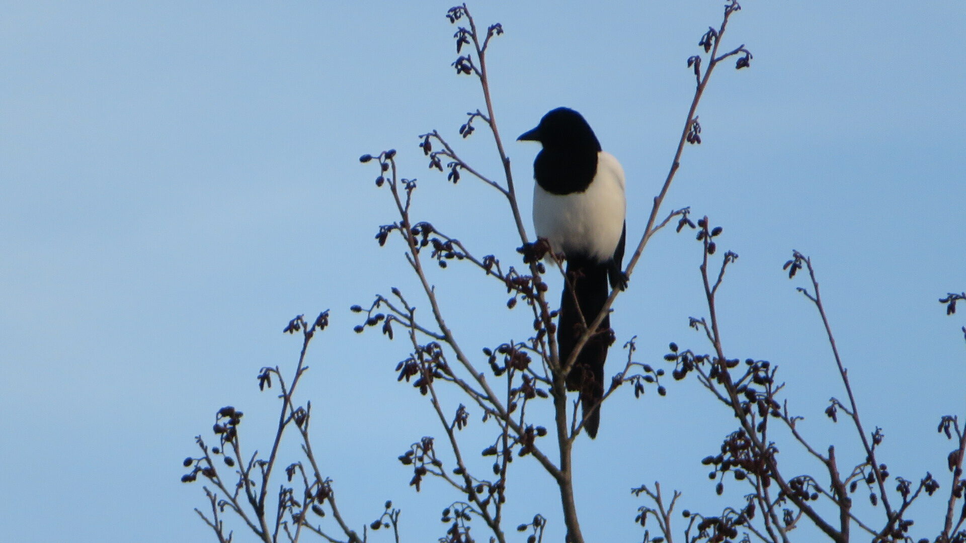 Valokuvaaja: Risto Kangassalo