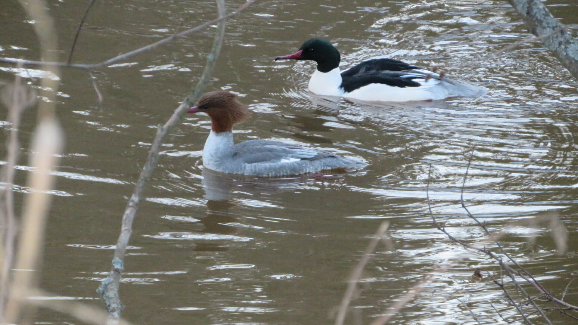 Valokuvaaja: Risto Kangassalo