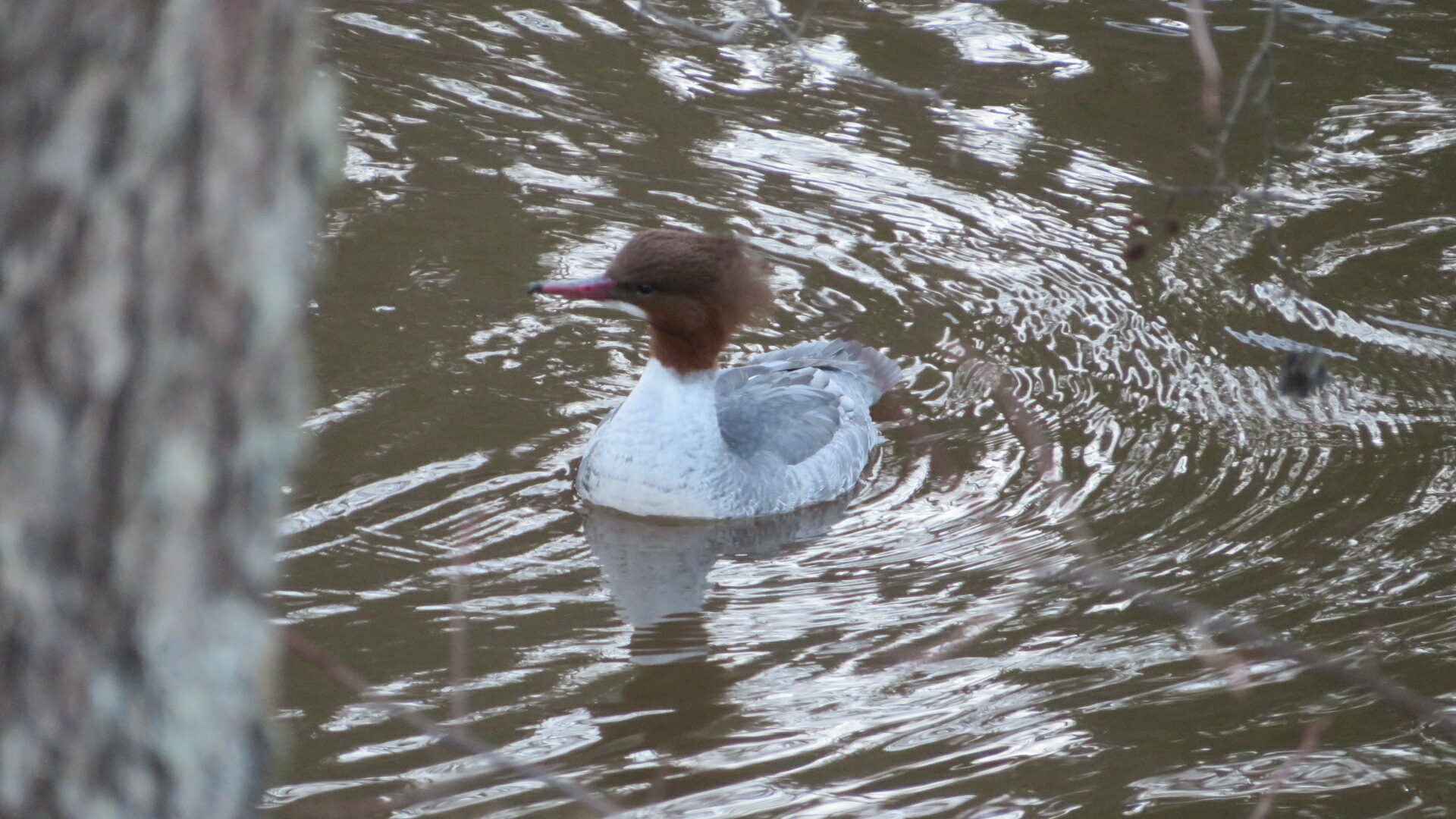 Valokuvaaja: Risto Kangassalo