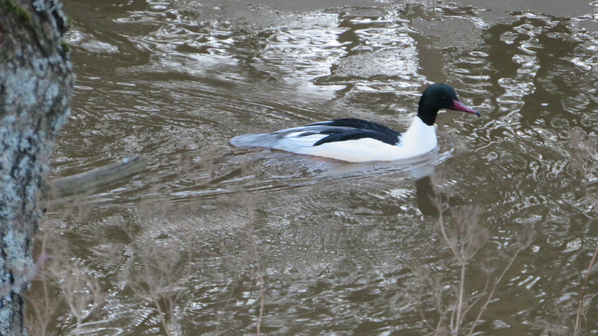 Valokuvaaja: Risto Kangassalo