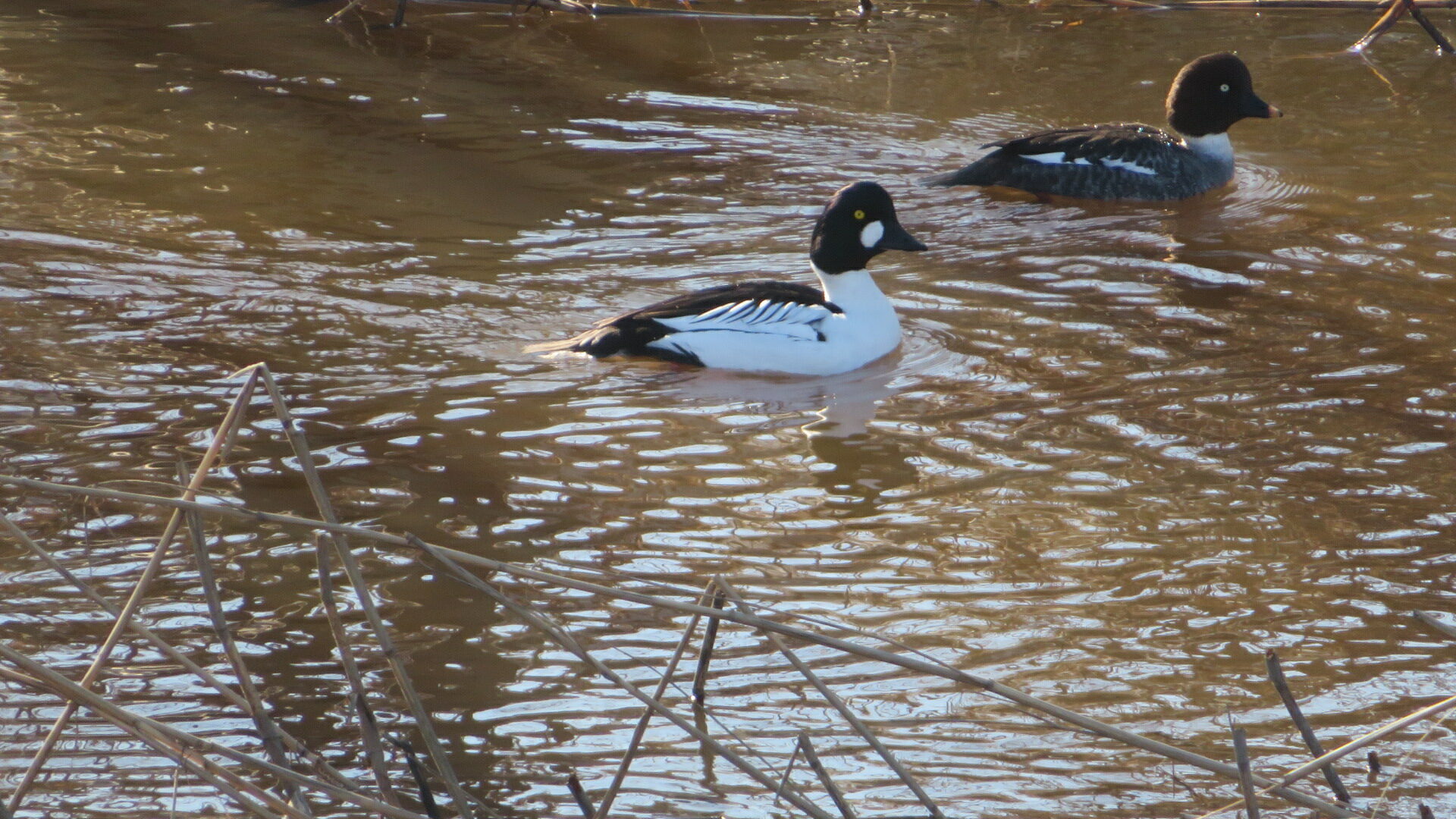 Valokuvaaja: Risto Kangassalo