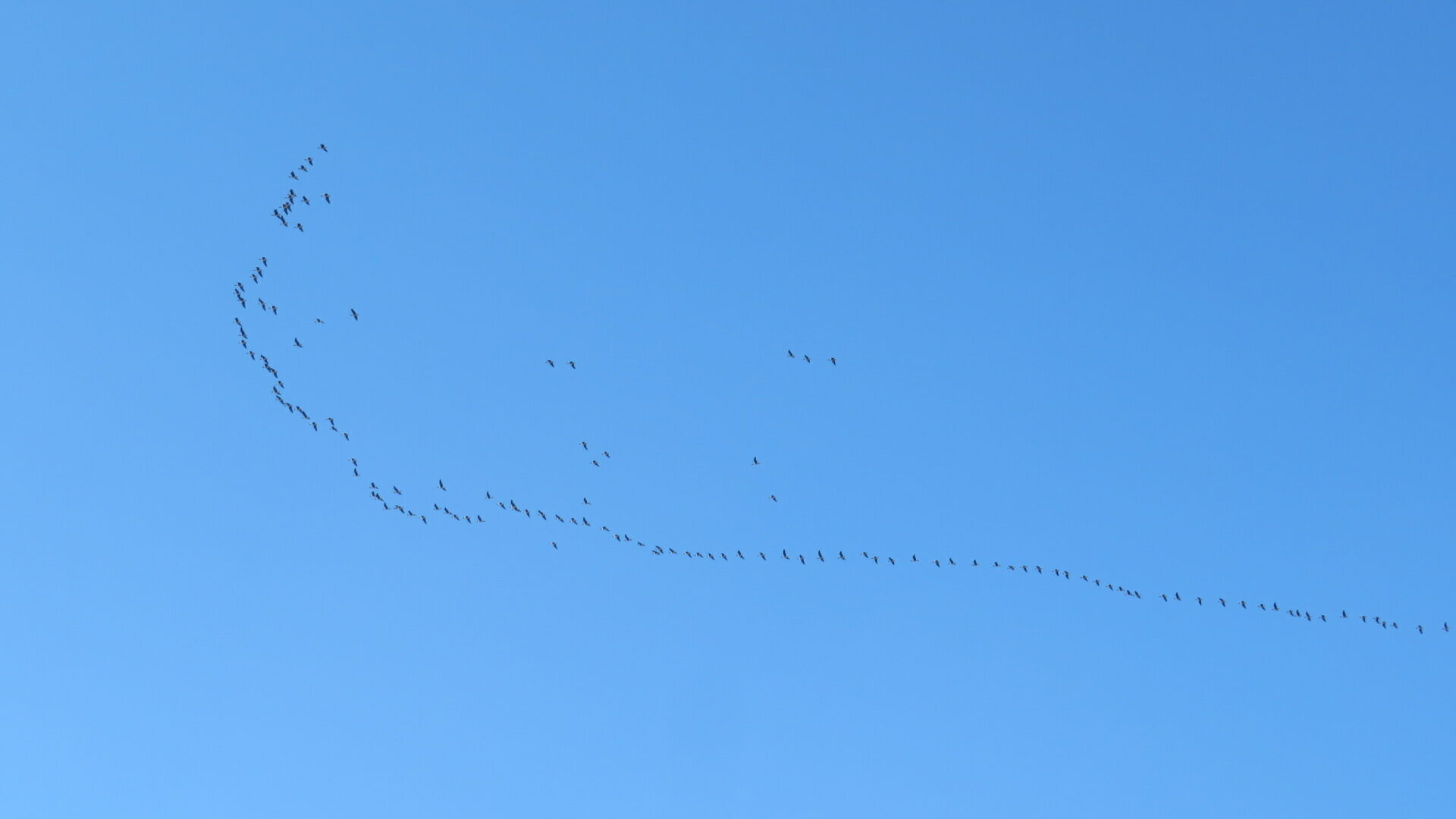 Valokuvaaja: Risto Kangassalo