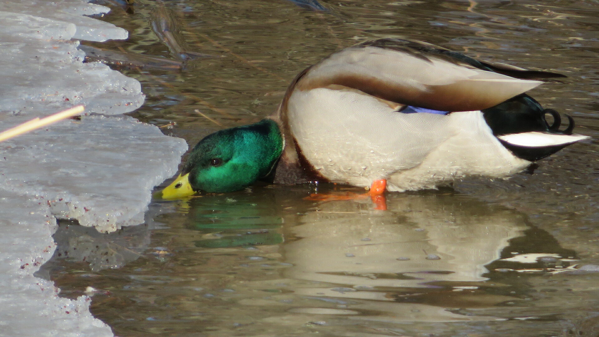 Valokuvaaja: Risto Kangassalo