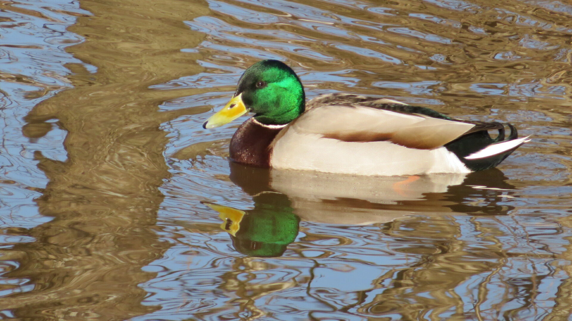 Valokuvaaja: Risto Kangassalo