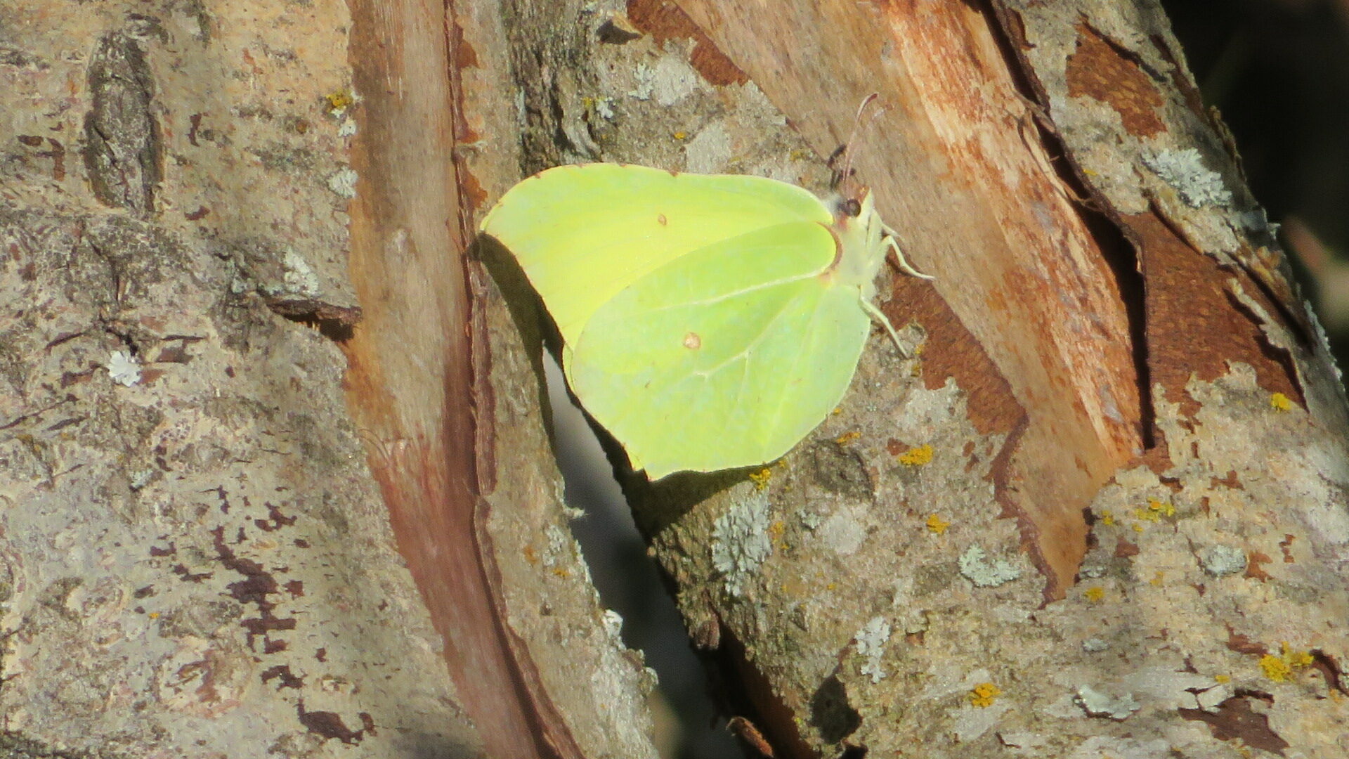 Valokuvaaja: Risto Kangassalo