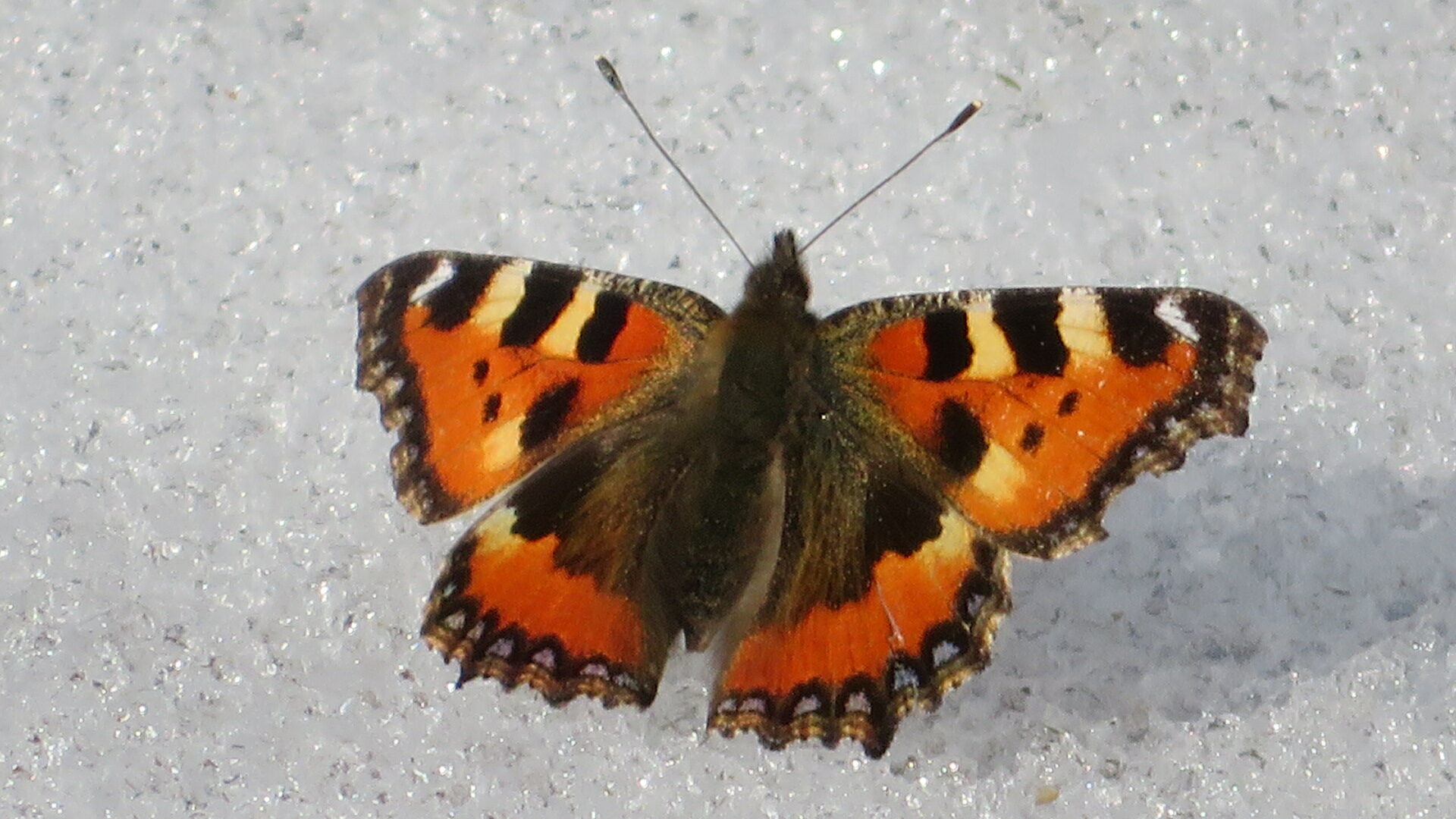 Valokuvaaja: Risto Kangassalo